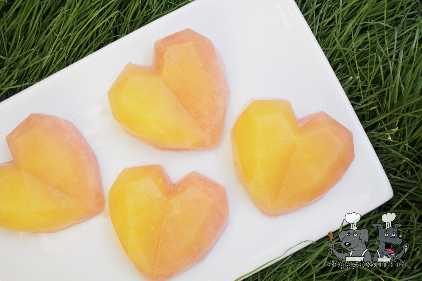 Frozen Pineapple Watermelon Dog Treat Recipe