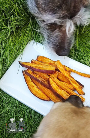 Air-Fryer Turmeric Sweet Potato Fries