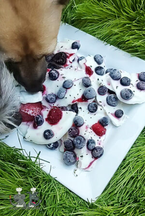 Frozen Yogurt and Berry Bark Dog Treat Recipe