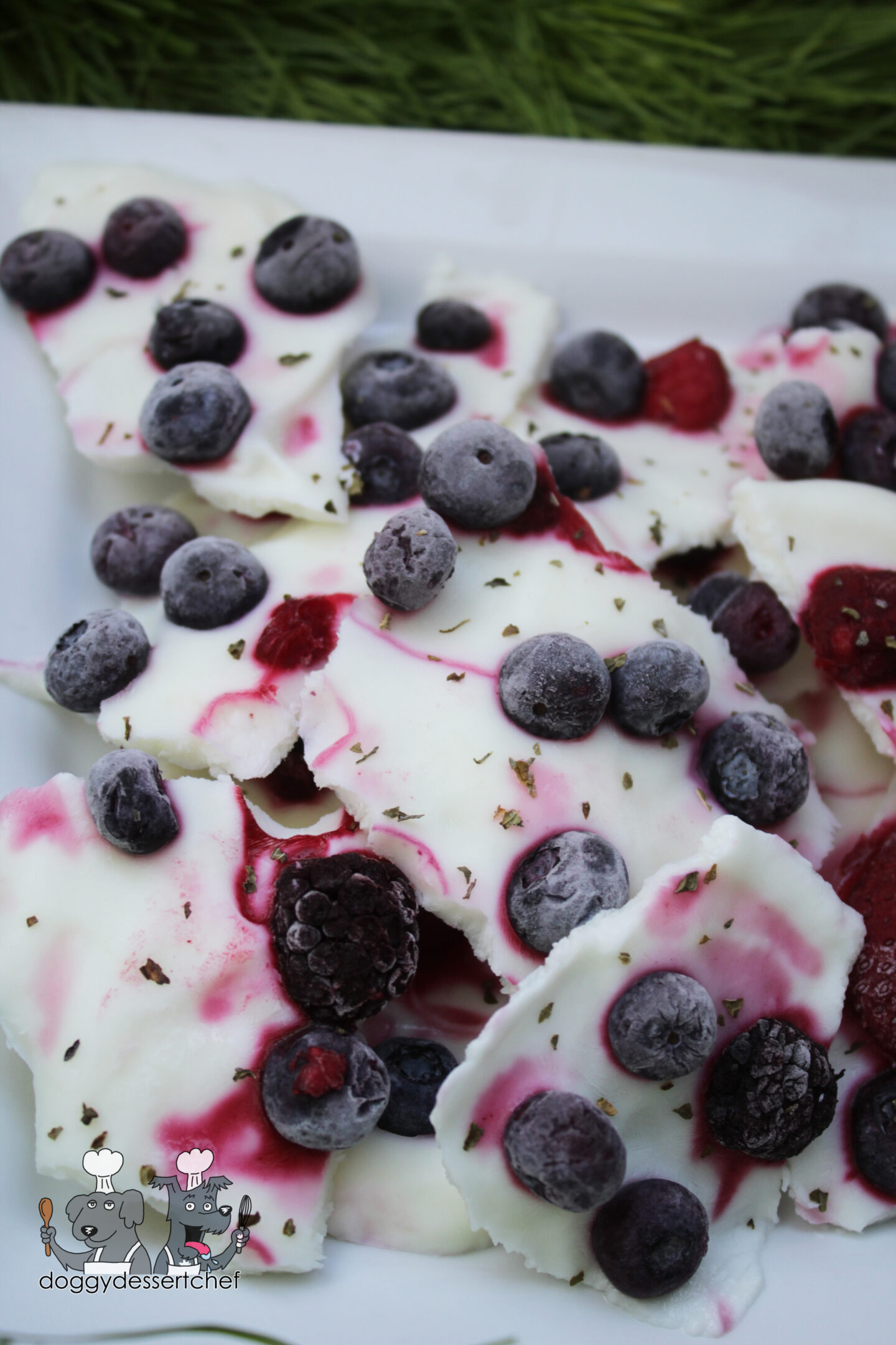 Frozen Yogurt and Berry Bark Dog Treat Recipe