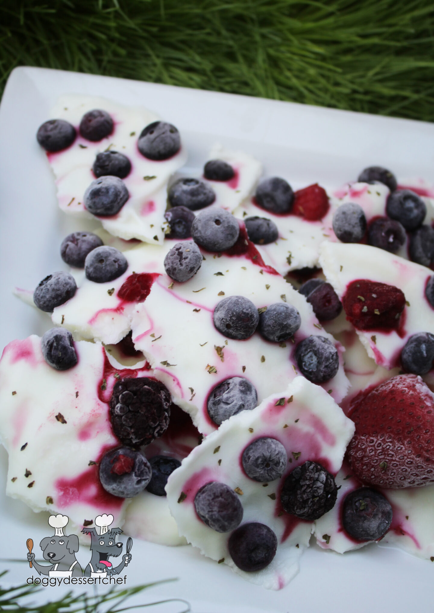 Frozen Yogurt and Berry Bark Dog Treat Recipe