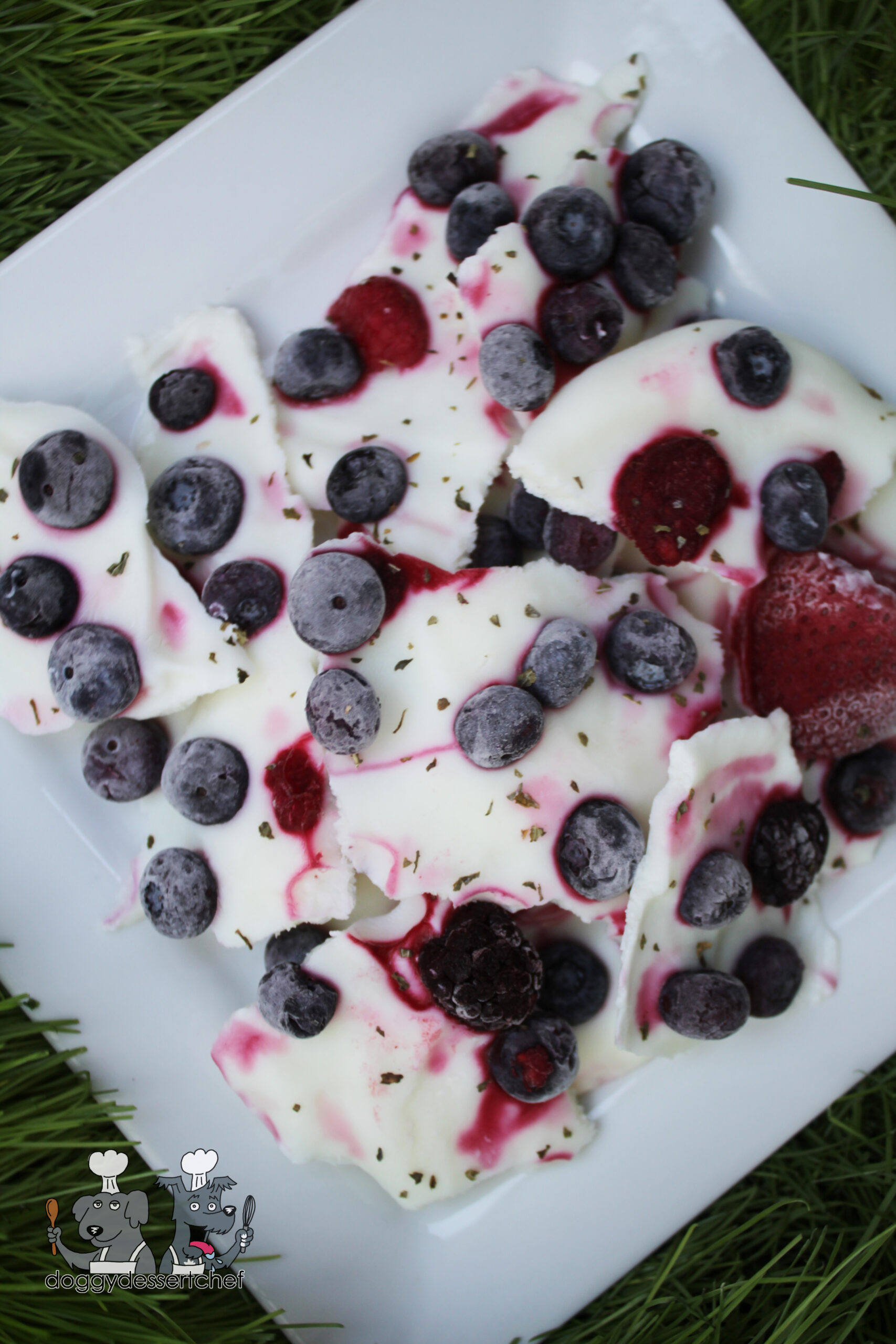 Frozen Yogurt and Berry Bark Dog Treat Recipe