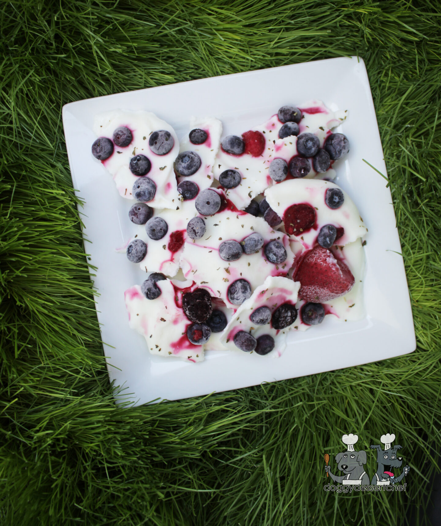 Frozen Yogurt and Berry Bark Dog Treat Recipe