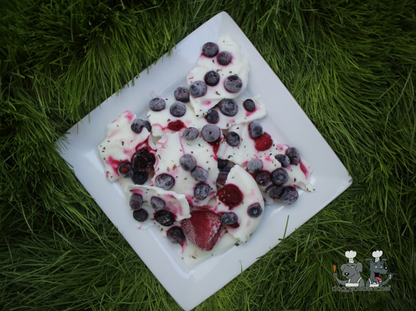 Frozen Yogurt and Berry Bark Dog Treat Recipe