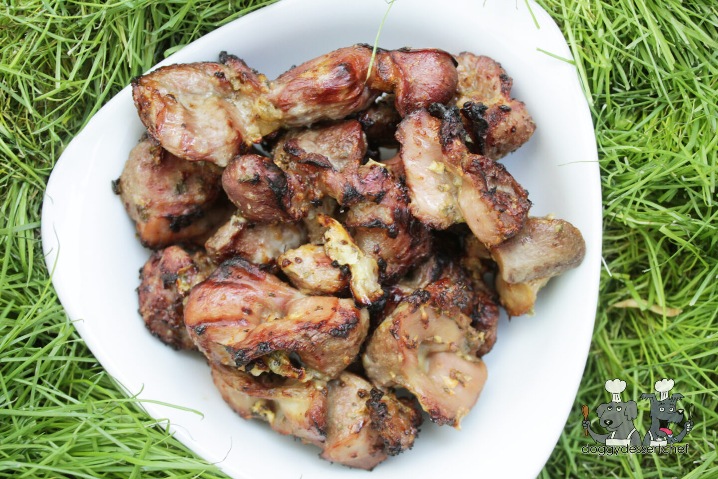 Air-Fryer Kiwi Mint Chicken Gizzards Dog Treat Recipe