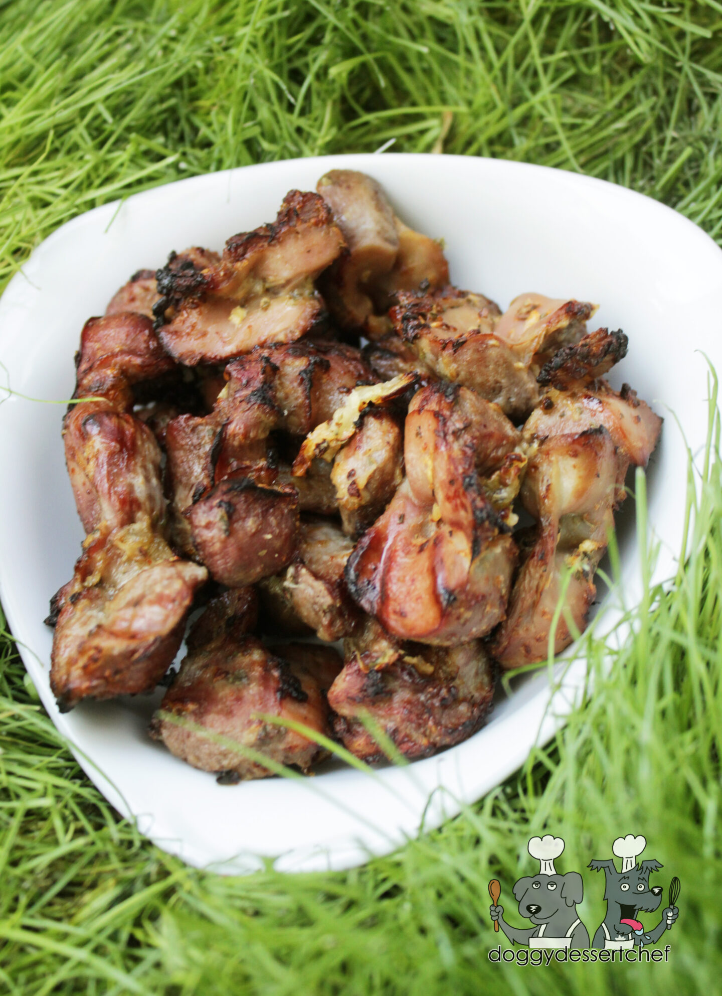 Air-Fryer Kiwi Mint Chicken Gizzards Dog Treat Recipe