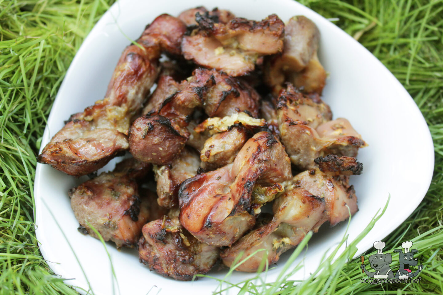 Air-Fryer Kiwi Mint Chicken Gizzards Dog Treat Recipe