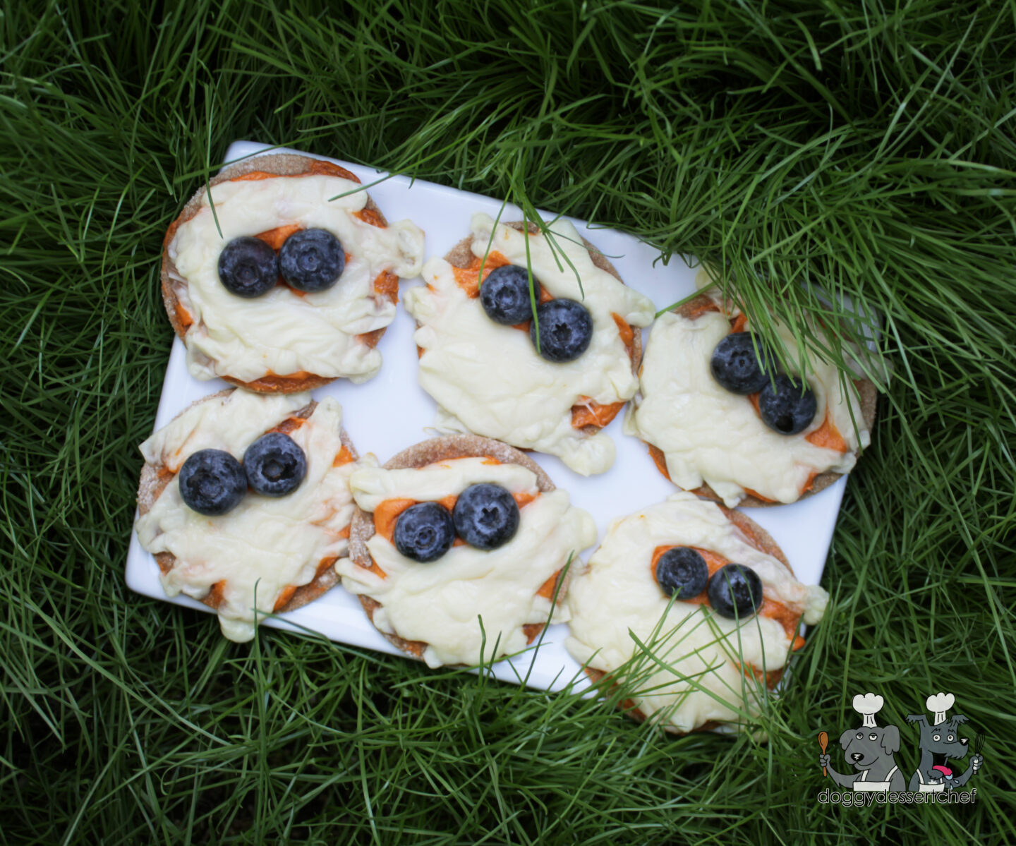 Mummy Pizza Dog Treat Recipe