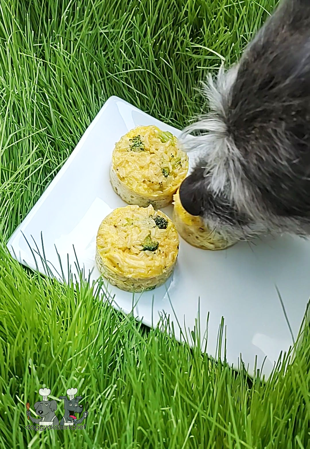 Chicken, Broccoli and Brown Rice Dog Treats