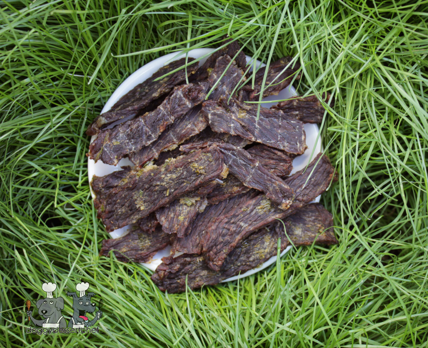 Dehydrated Pineapple Bison Jerky Dog