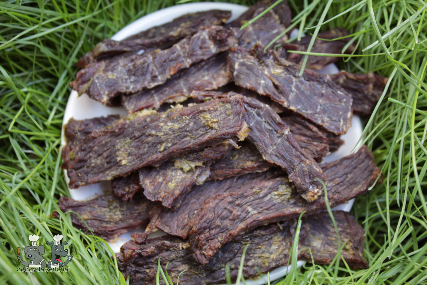 Dehydrated Pineapple Bison Jerky Dog