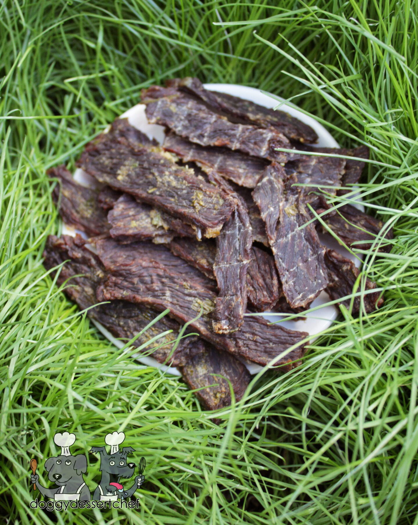 Dehydrated Pineapple Bison Jerky Dog