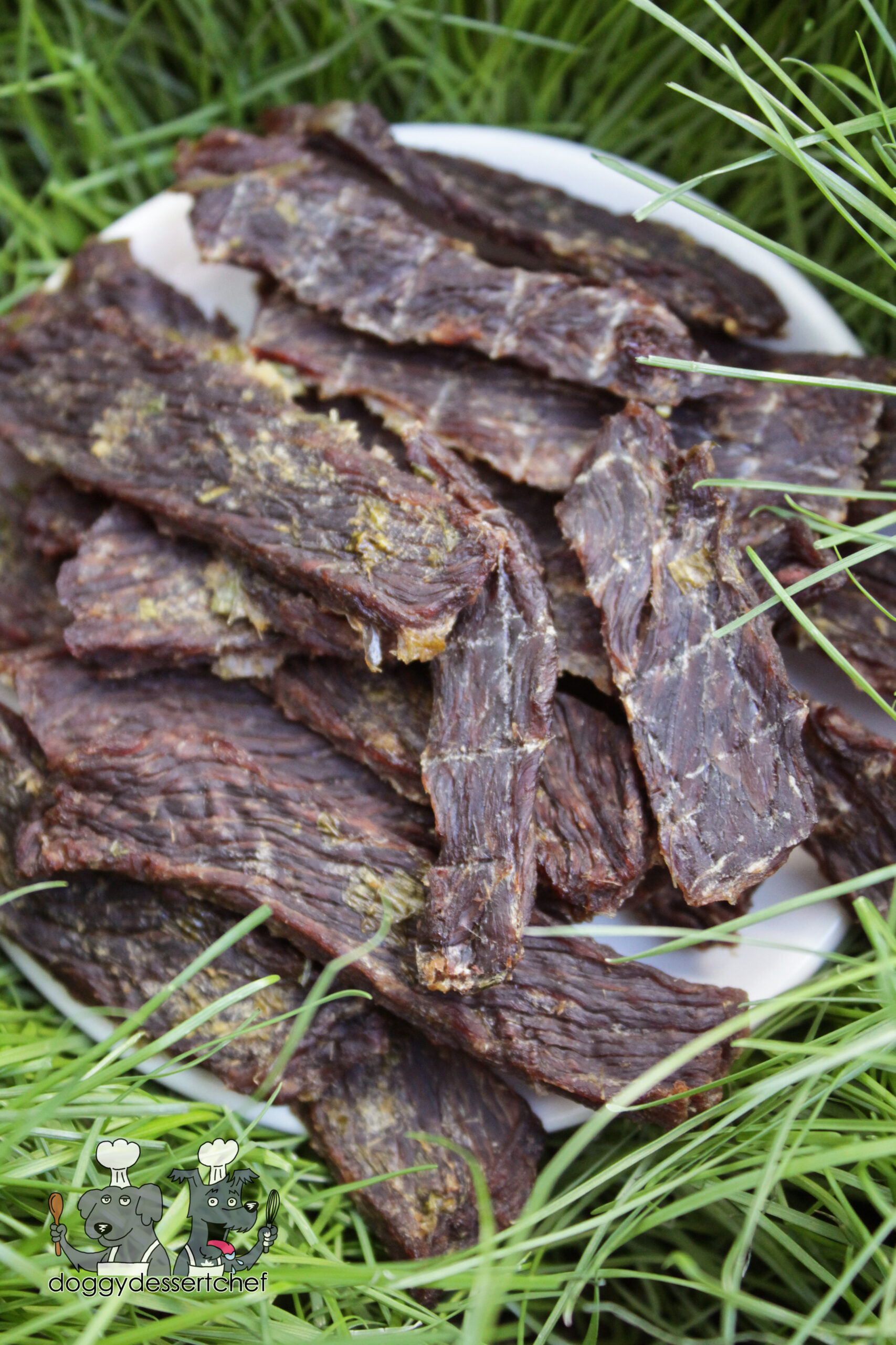 Dehydrated Pineapple Bison Jerky Dog