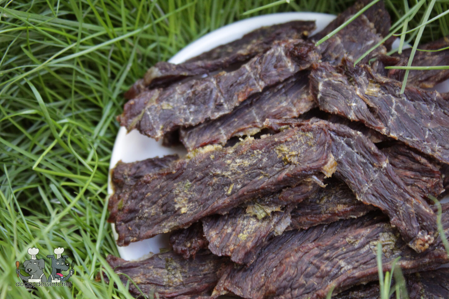 Dehydrated Pineapple Bison Jerky Dog Treat Recipe