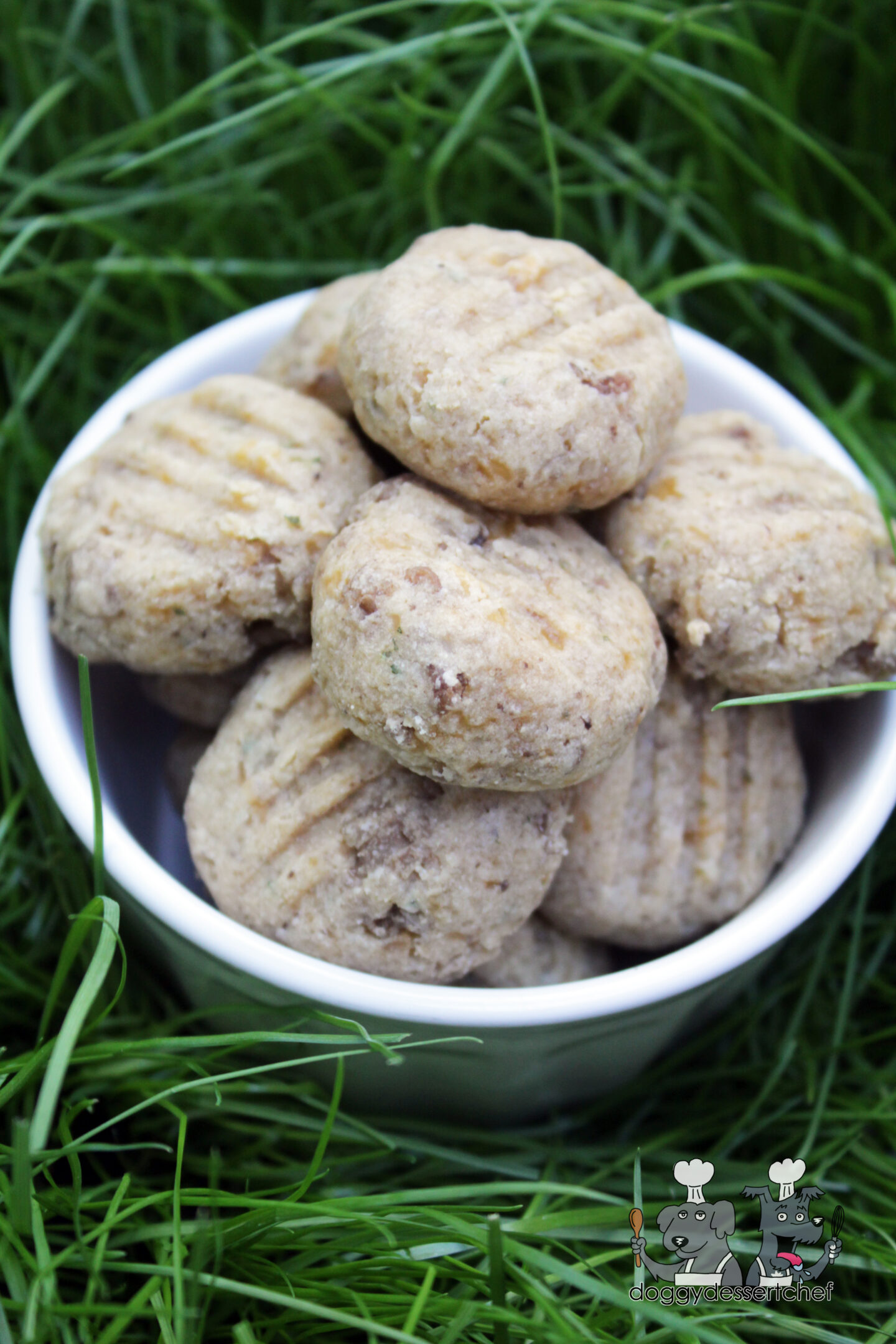 Cheddar and Parmesan Lamb Dog Treats