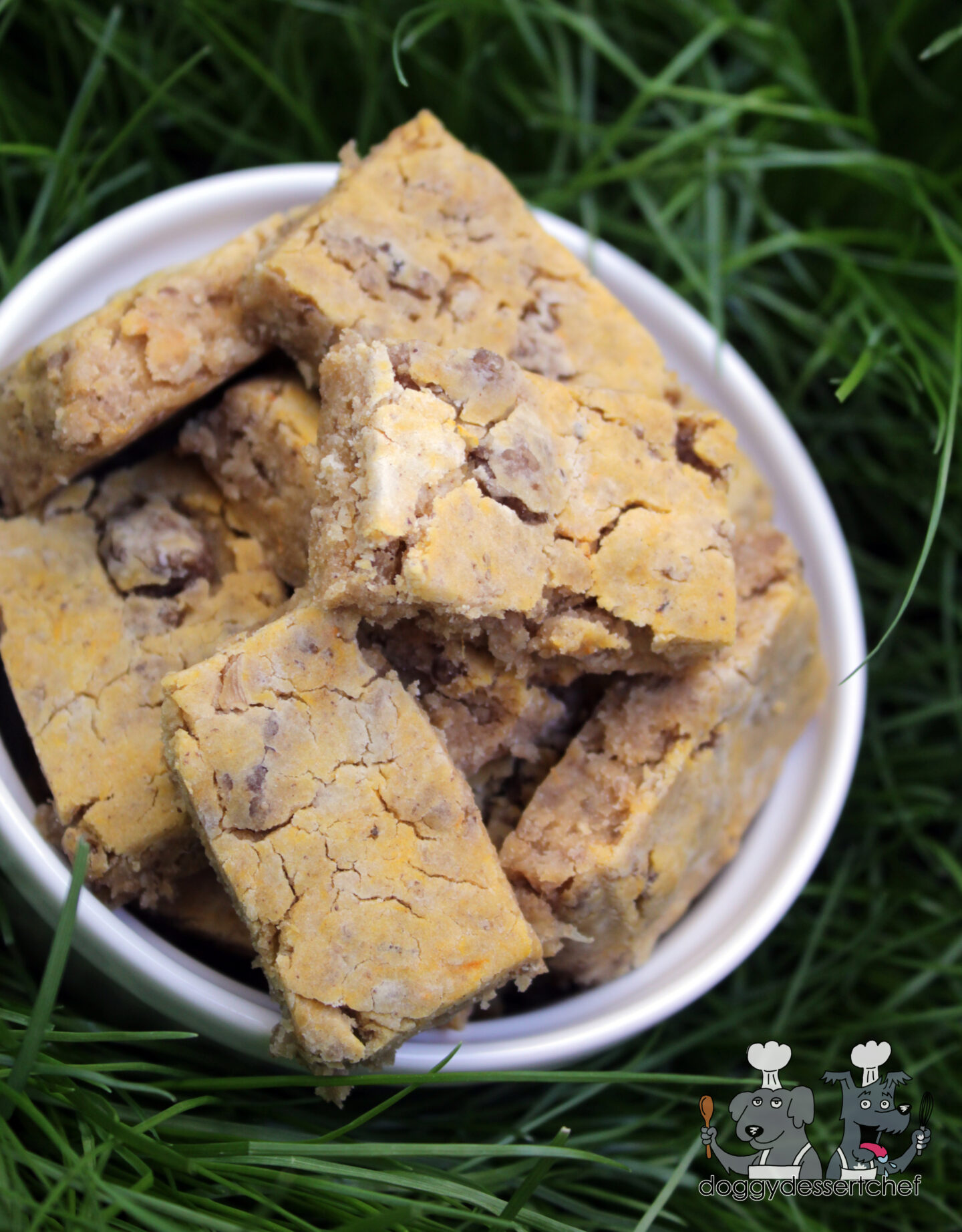 Coconut Lamb Dog Treat Recipe