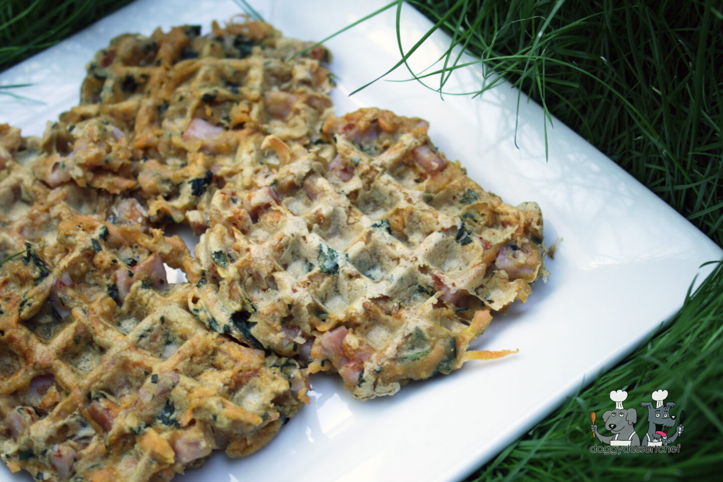 Sweet Potato Pork Waffles Dog Treat Recipe