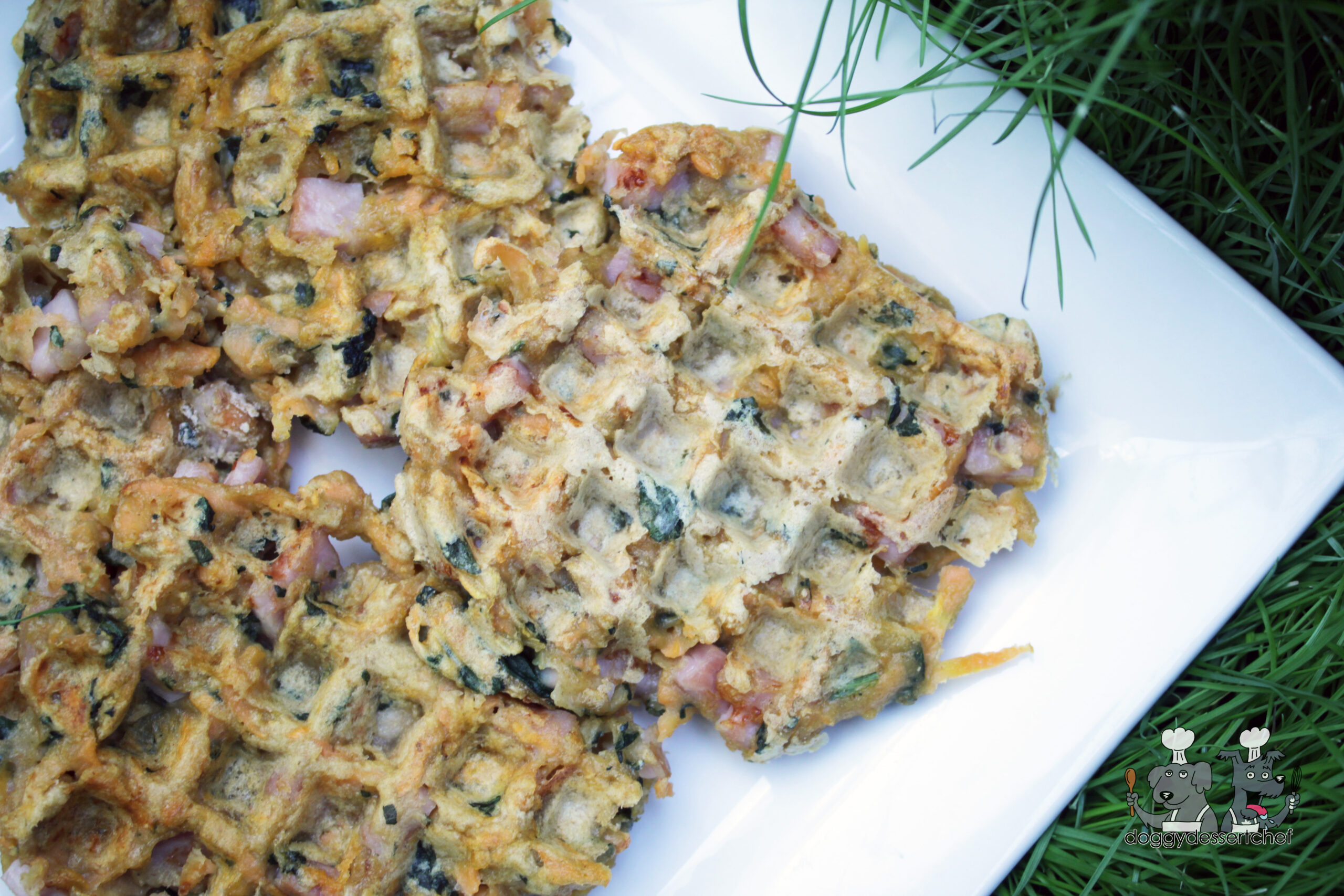 Sweet Potato Pork Waffles Dog Treat Recipe