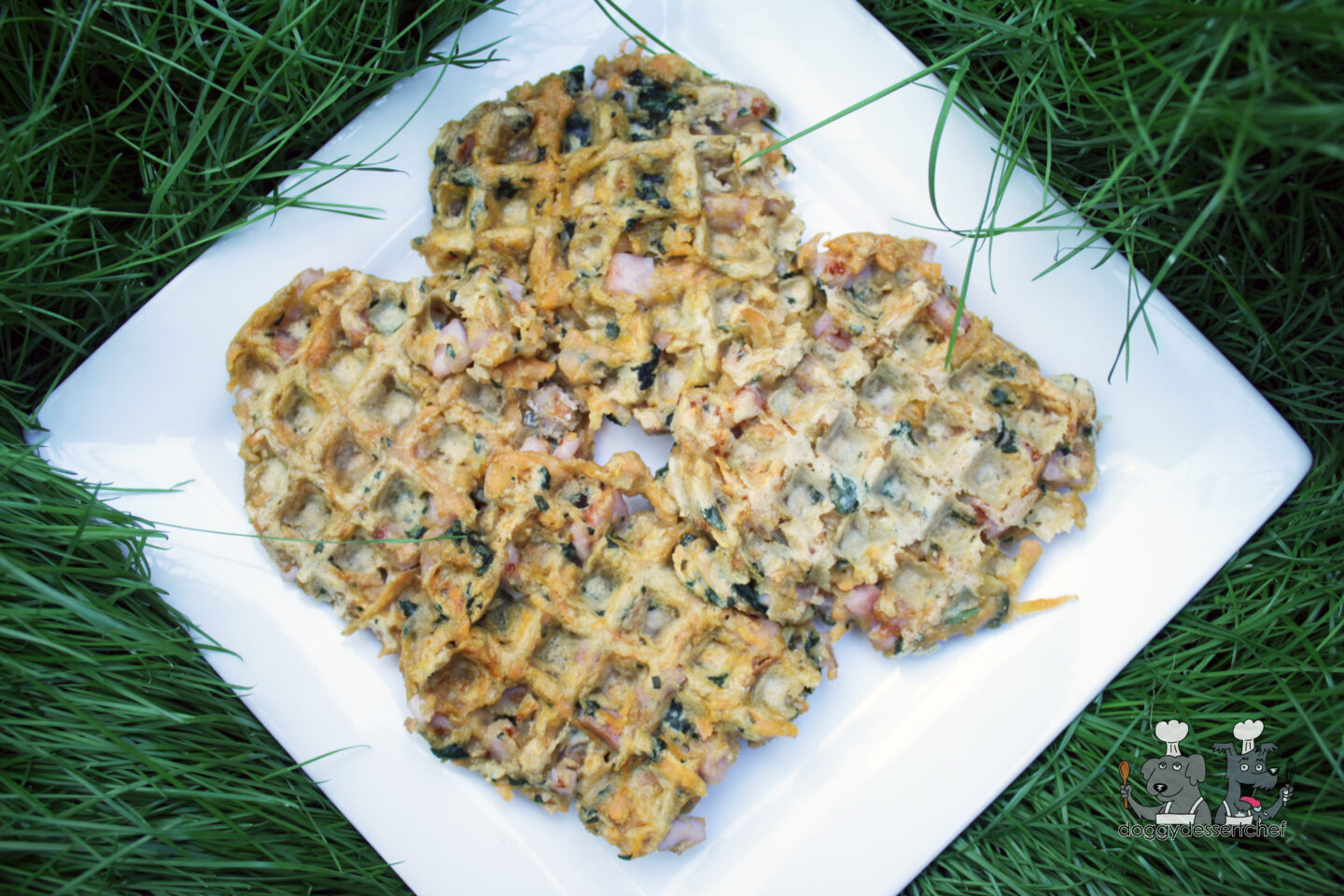 Sweet Potato Pork Waffles Dog Treat Recipe