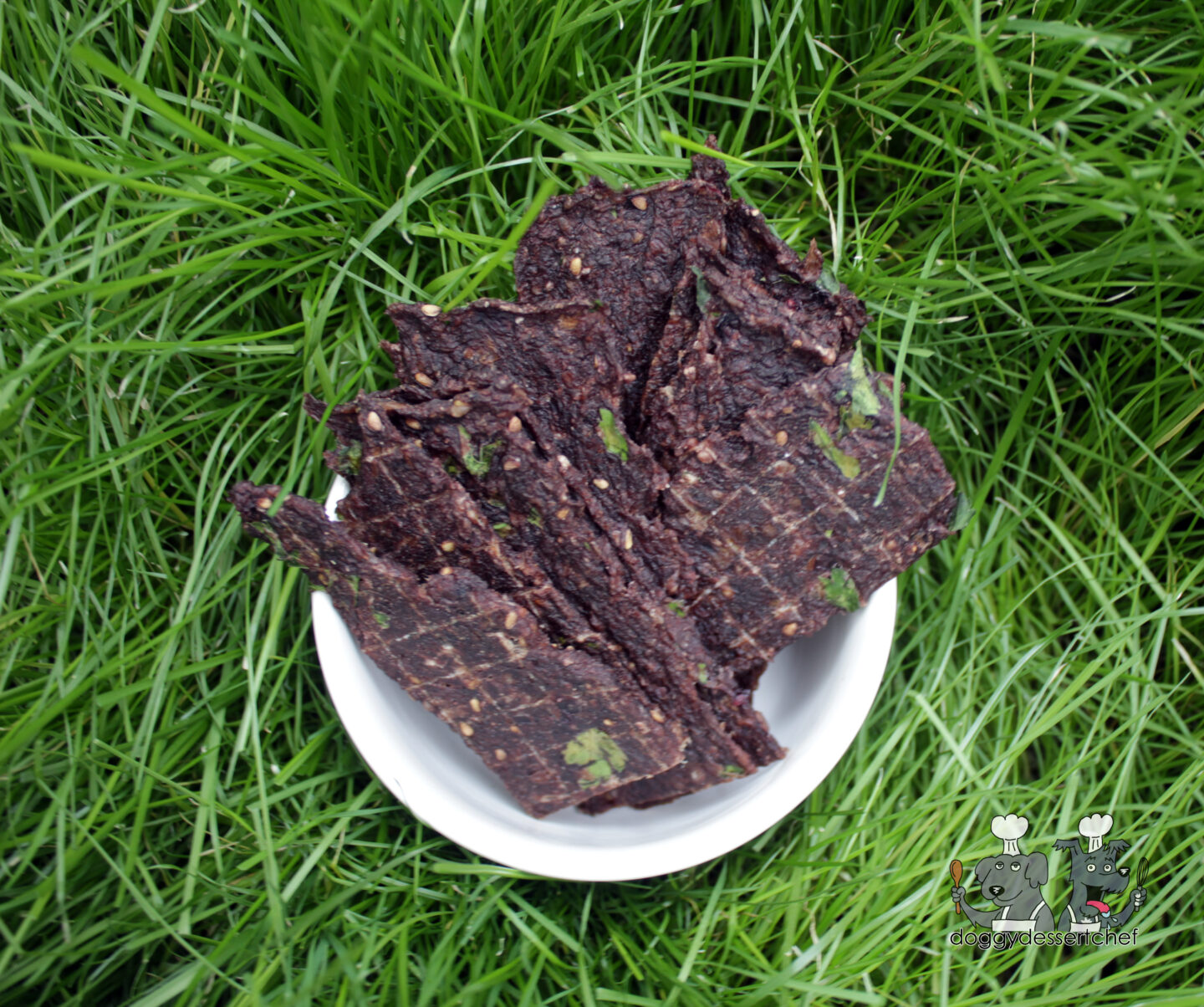 Blackberry Ground Bison Jerky Dog Treat Recipe