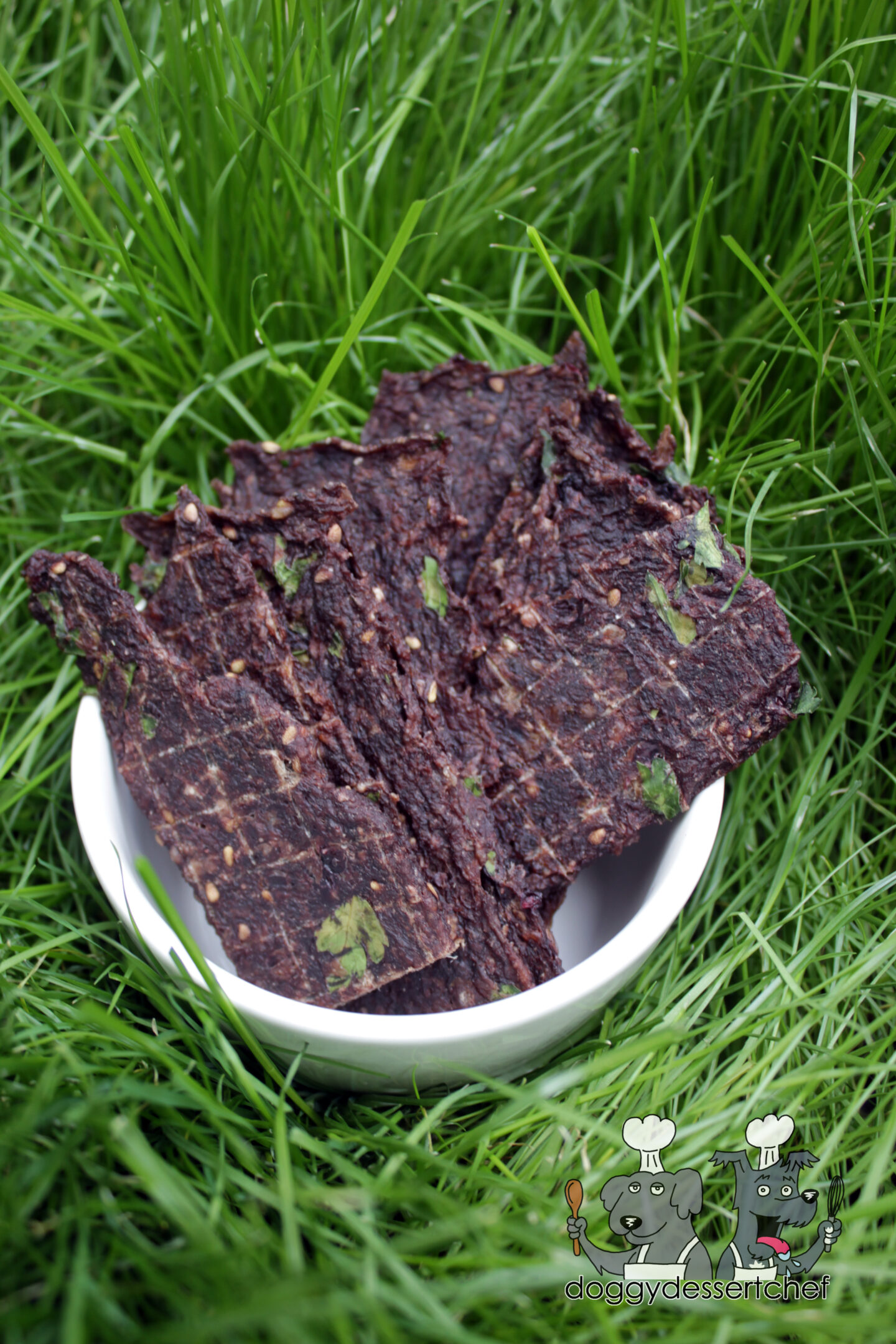 Blackberry Ground Bison Jerky Dog Treat Recipe