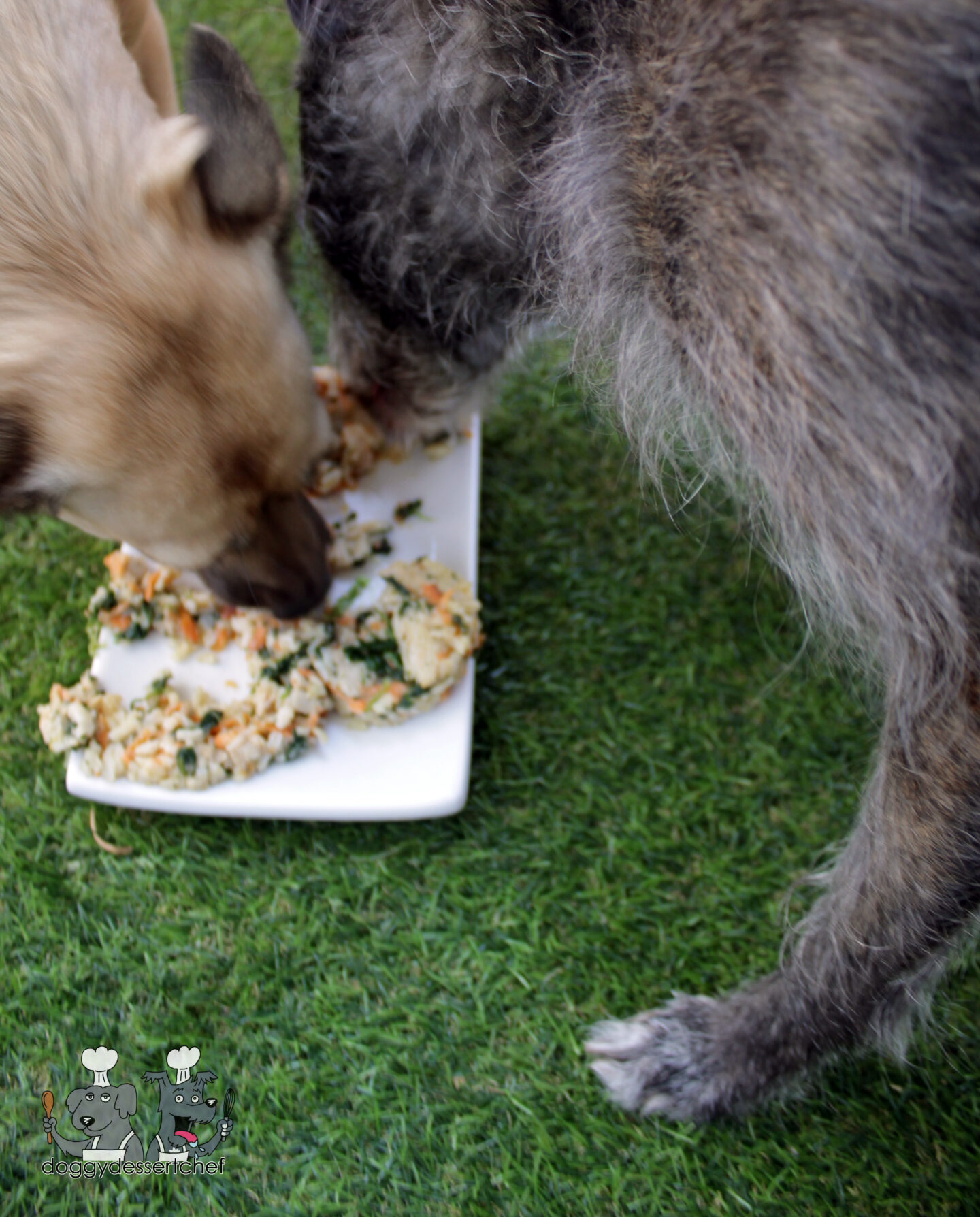 Chicken Sweet Potato Brown Rice Dog Treats