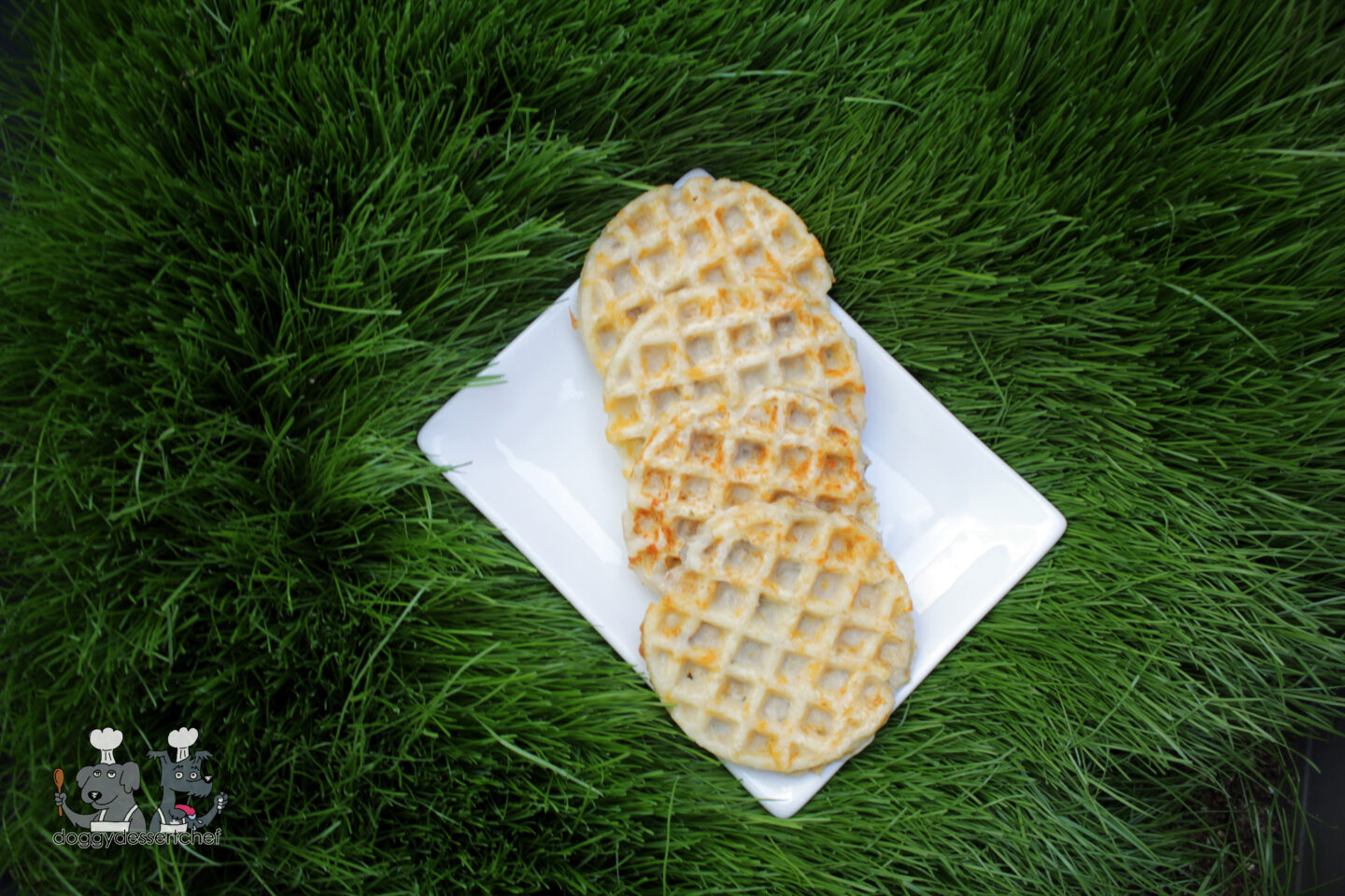 chicken cheese waffles dog treat recipe