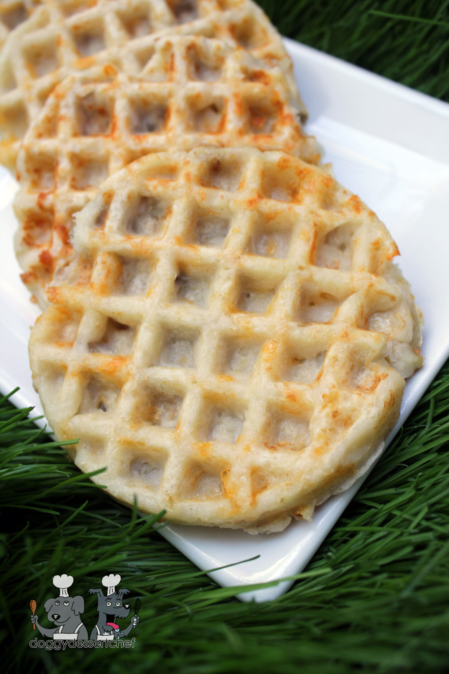 chicken cheese waffles dog treat recipe