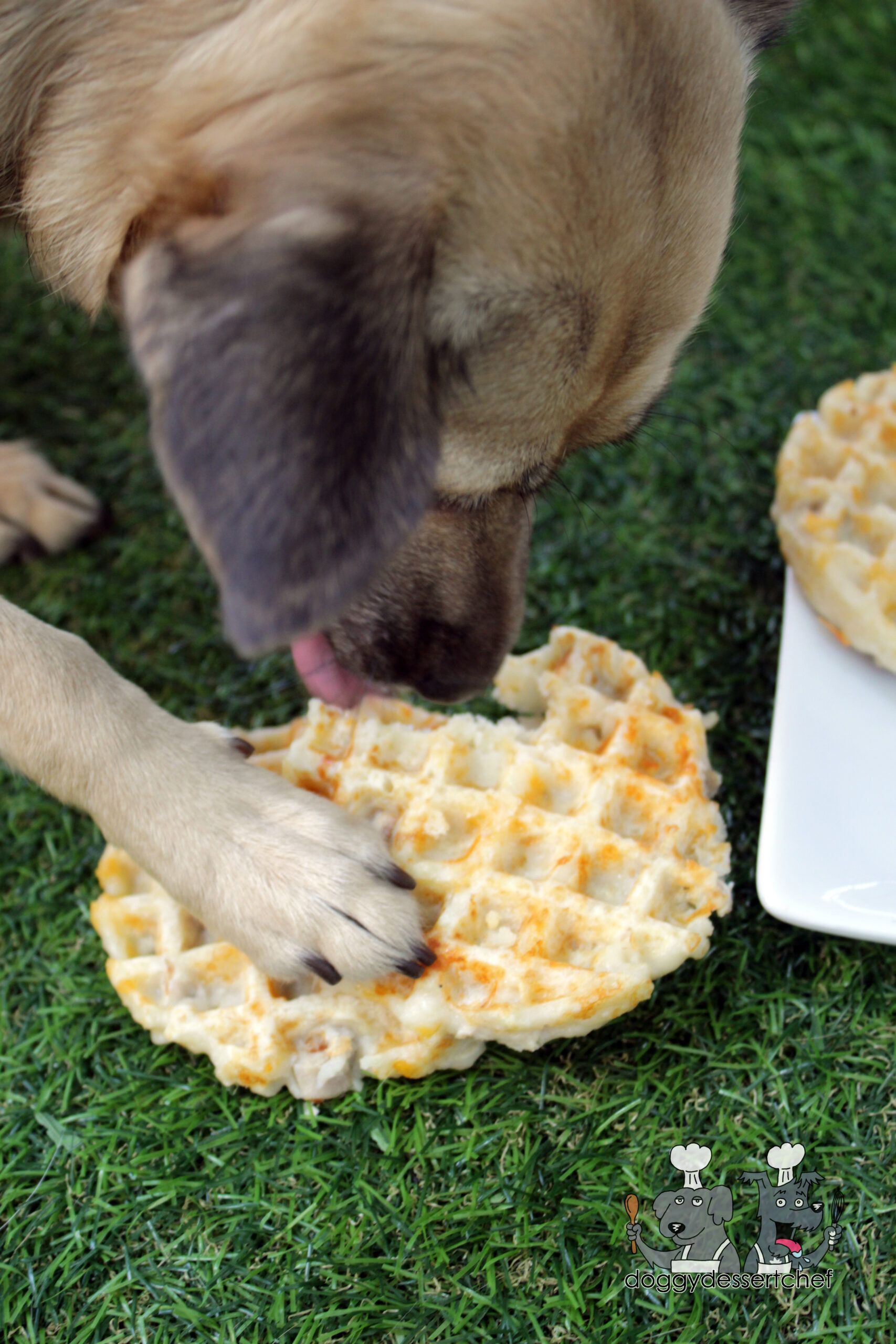 chicken cheese waffles dog treat recipe