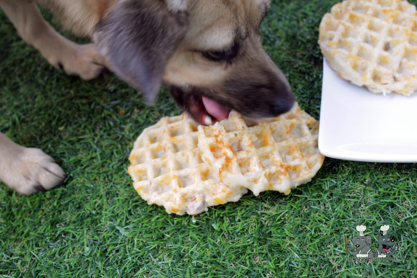 chicken cheese waffles dog treat recipe