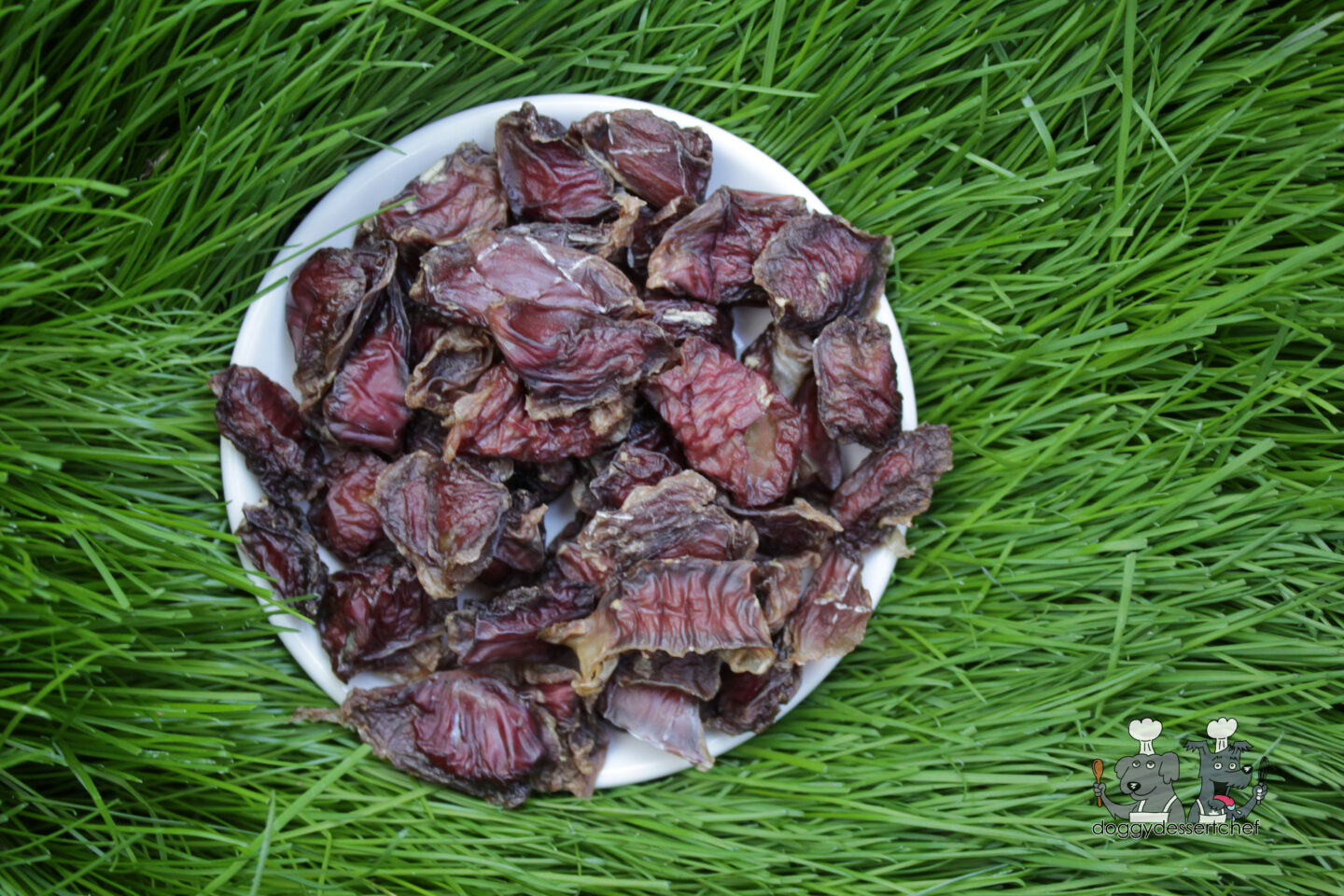 Dehydrated Chicken Gizzard Dog Treats