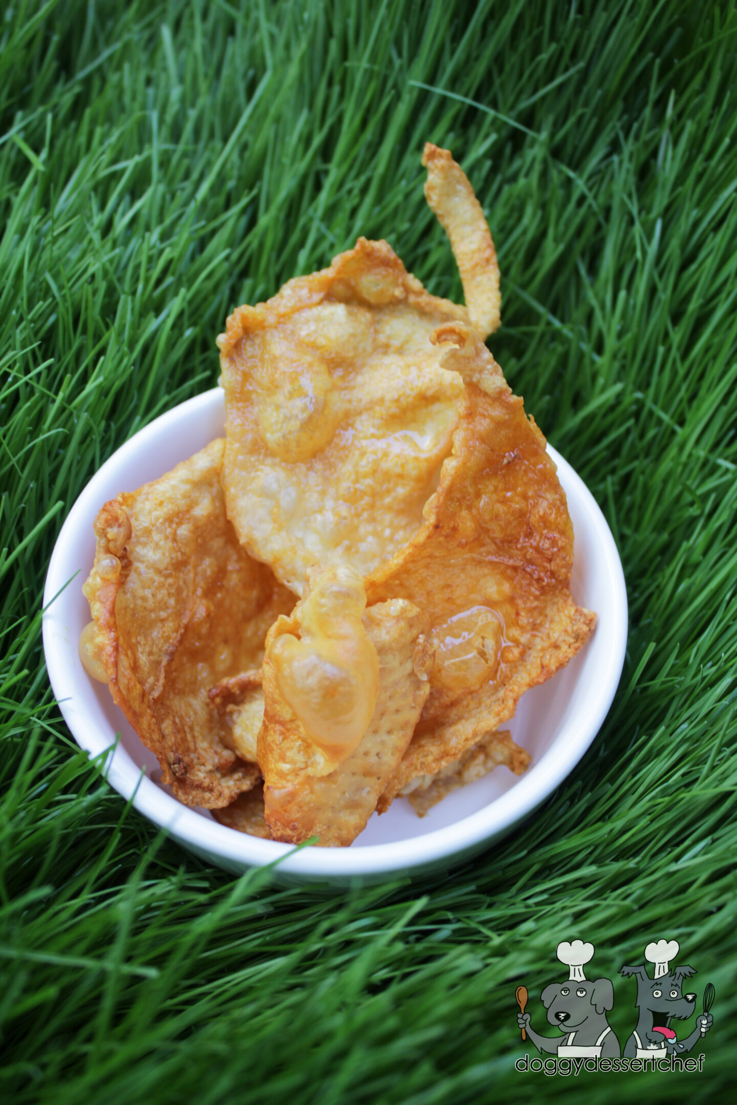 air fryer crispy chicken skins dog treat recipe