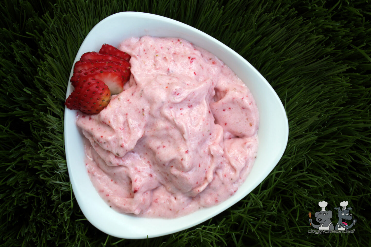frozen strawberry banana dog treat recipe