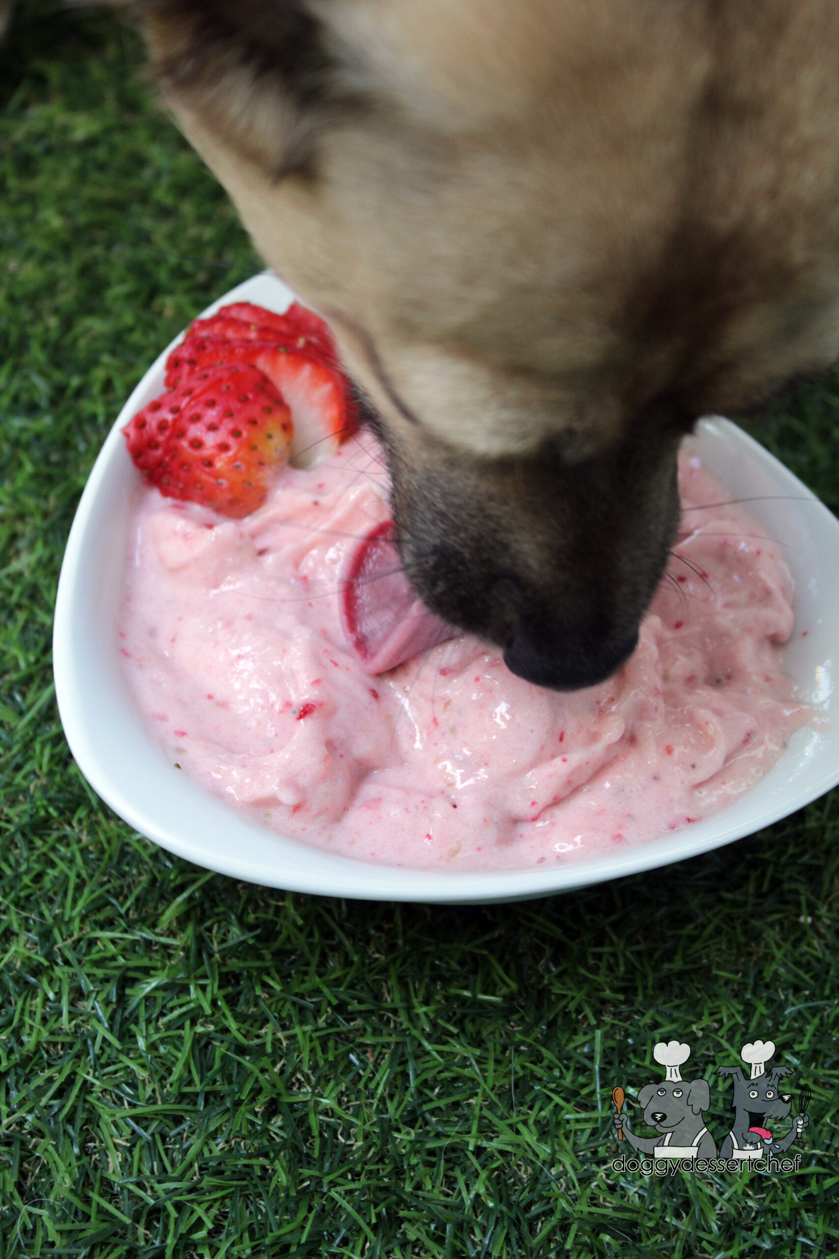 frozen strawberry banana dog treat recipe