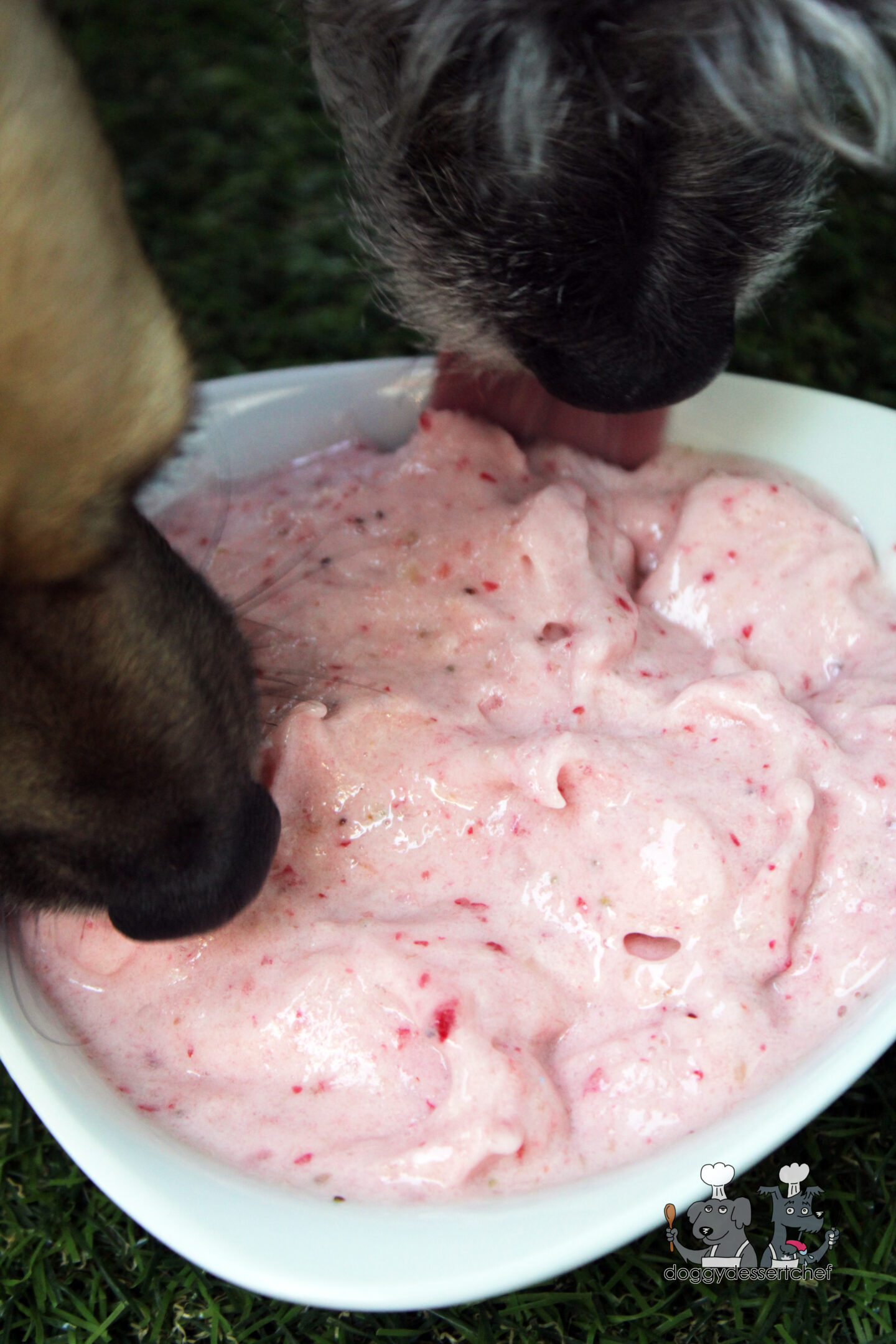 frozen strawberry banana dog treat recipe