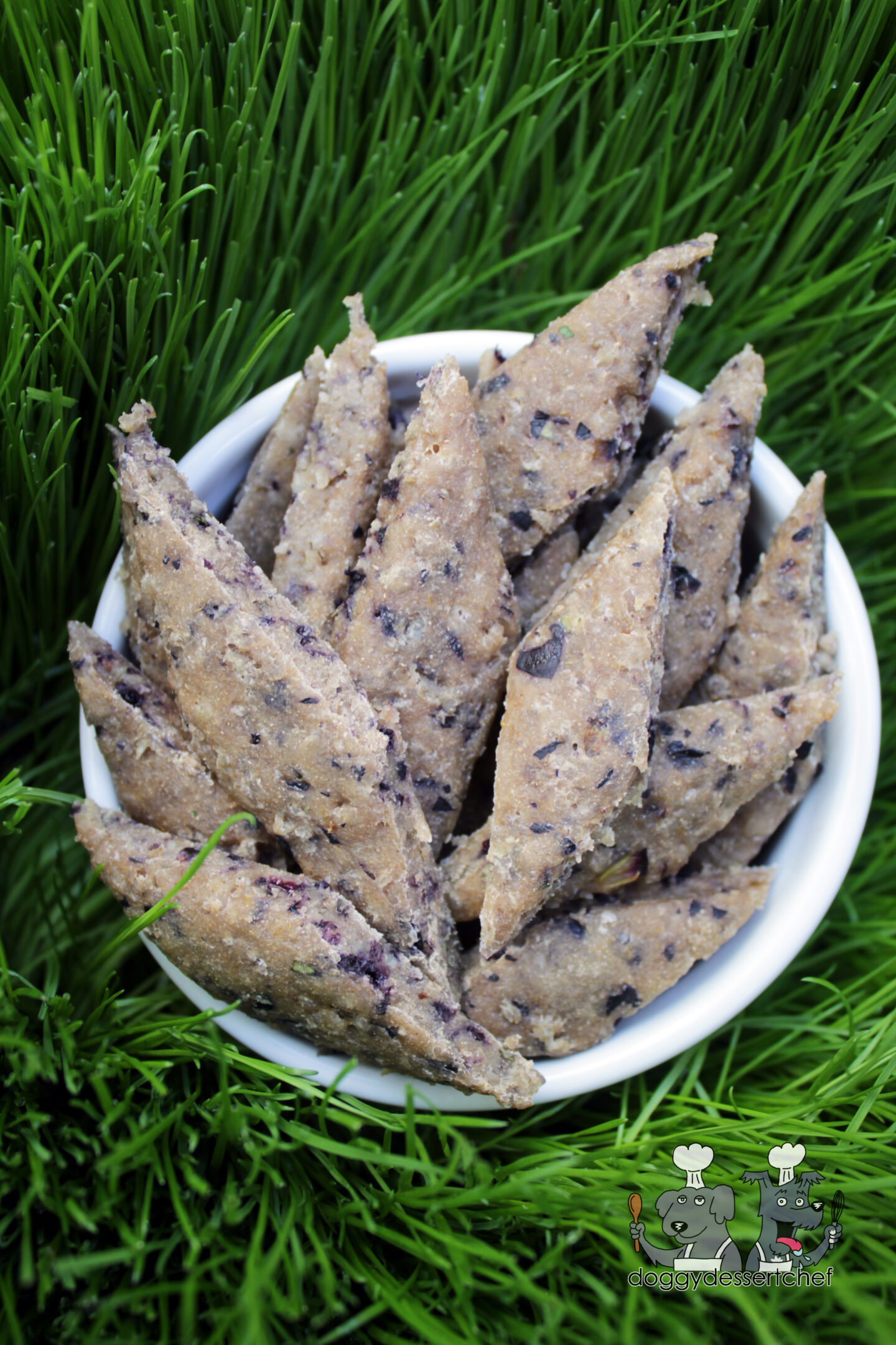 blueberry pork dog treat recipe