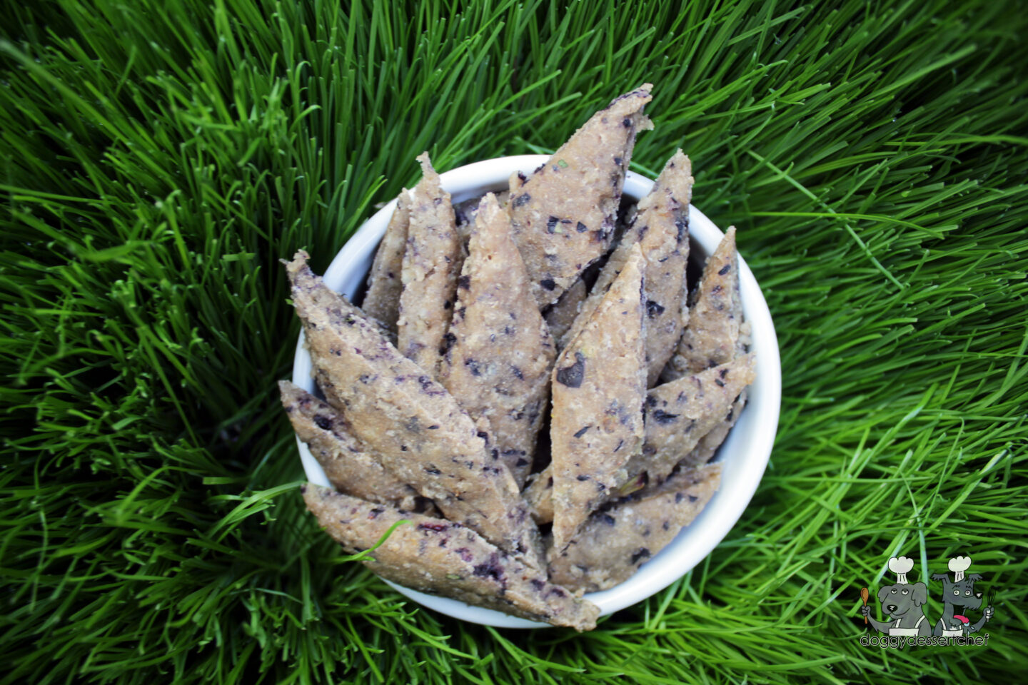 blueberry pork dog treat recipe