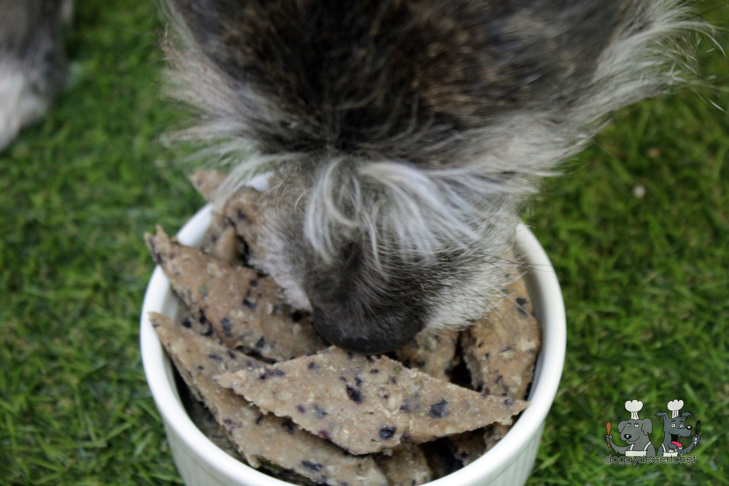 blueberry pork dog treat recipe