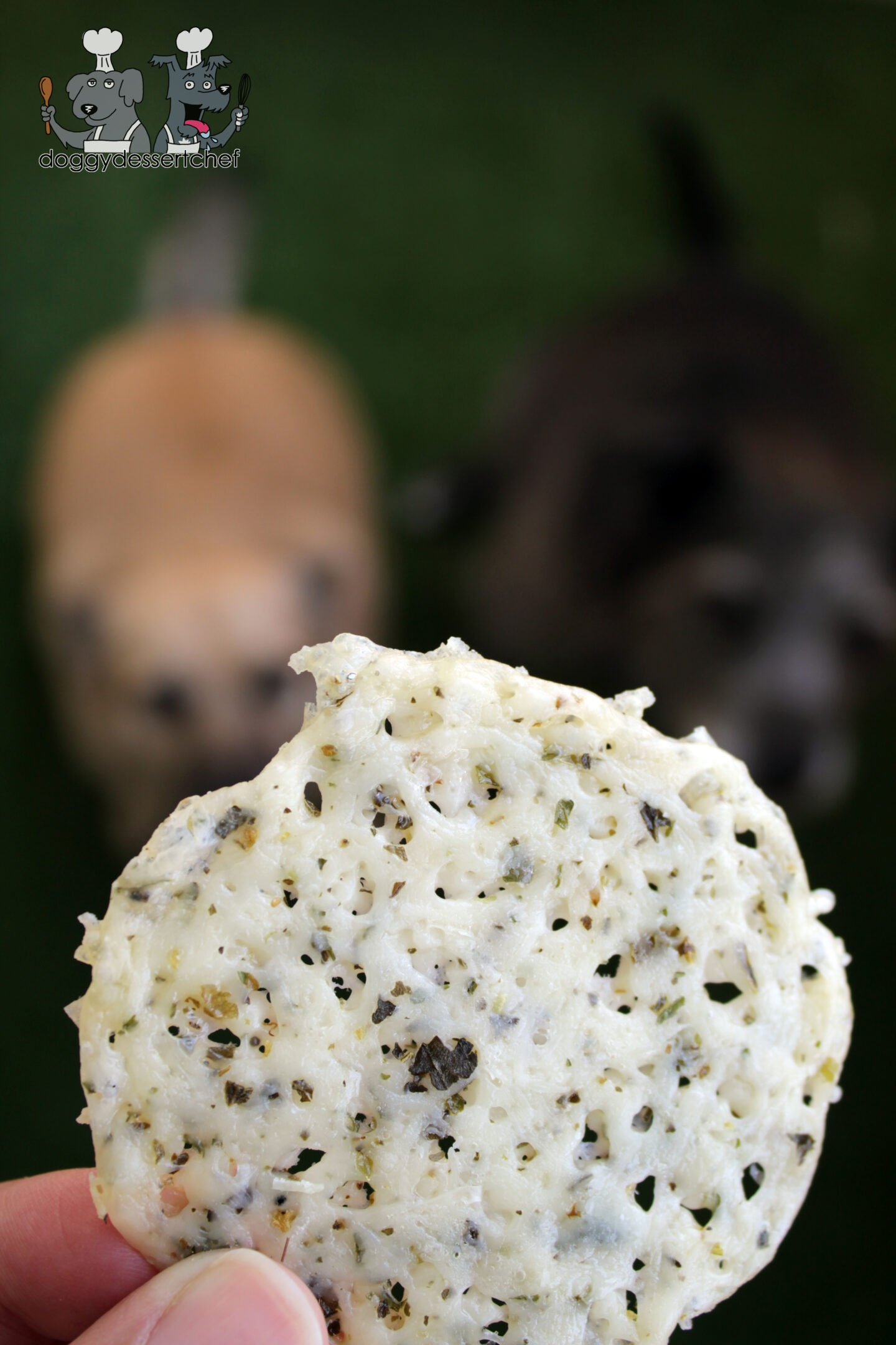 parmesan cheese chips dog treat recipe