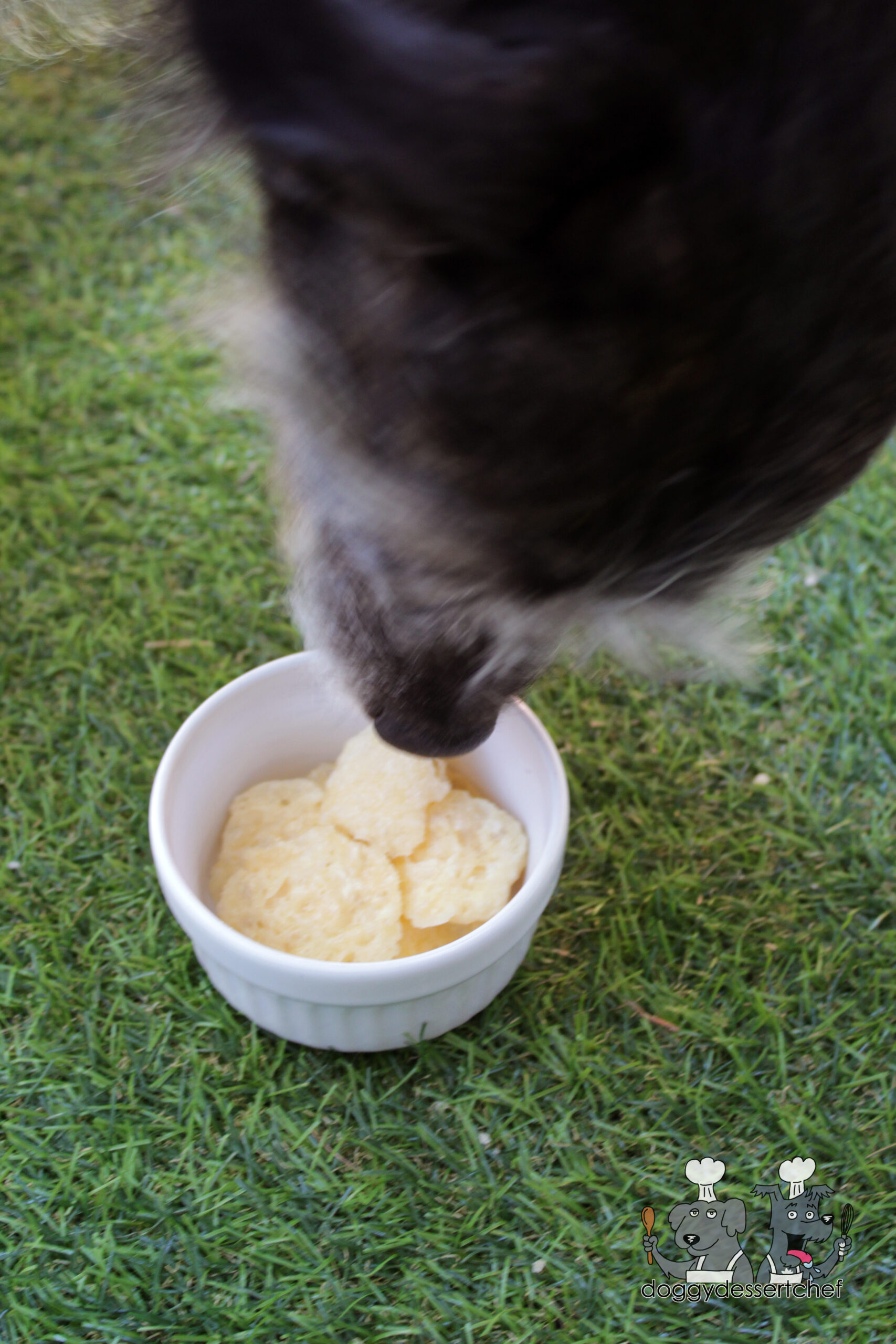 parmesan puffs dog treat recipe
