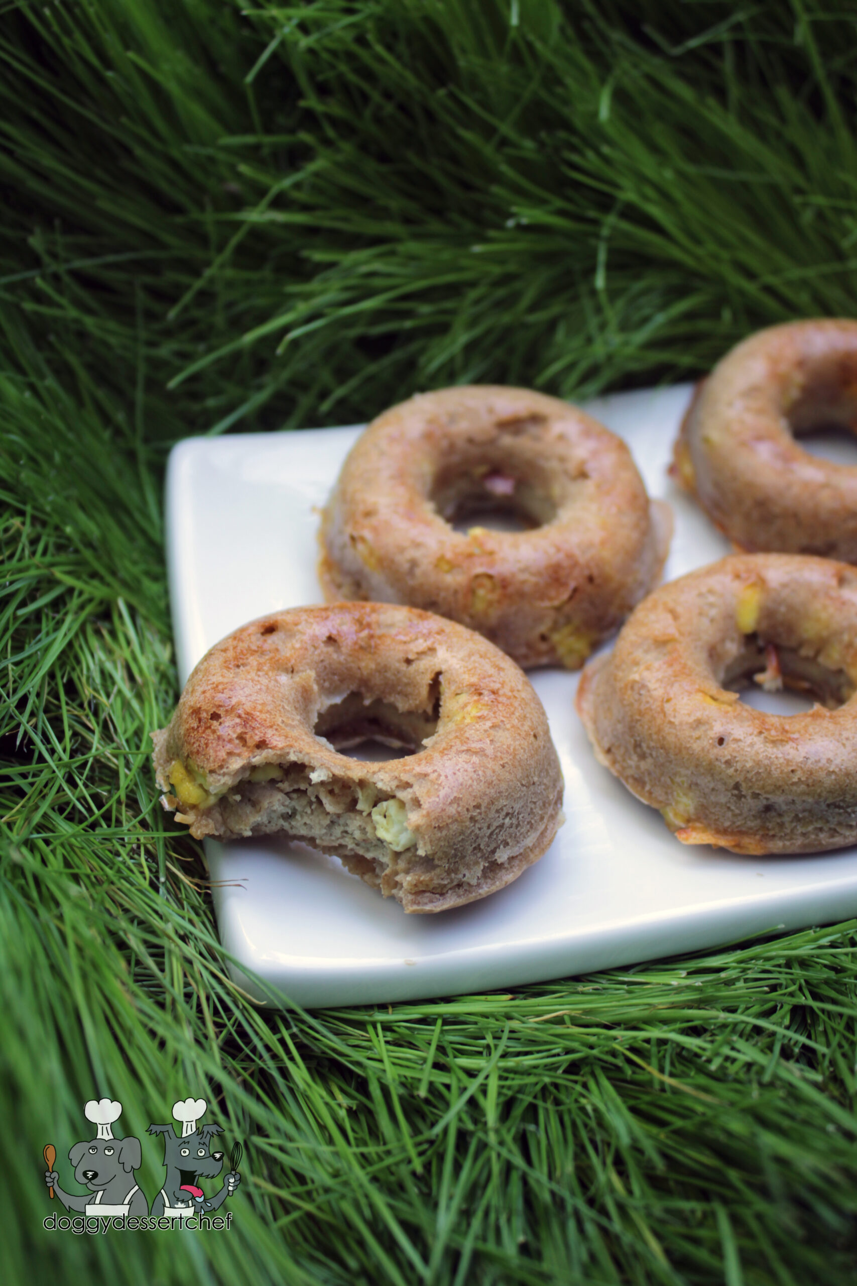 breakfast doughnuts dog treat recipe