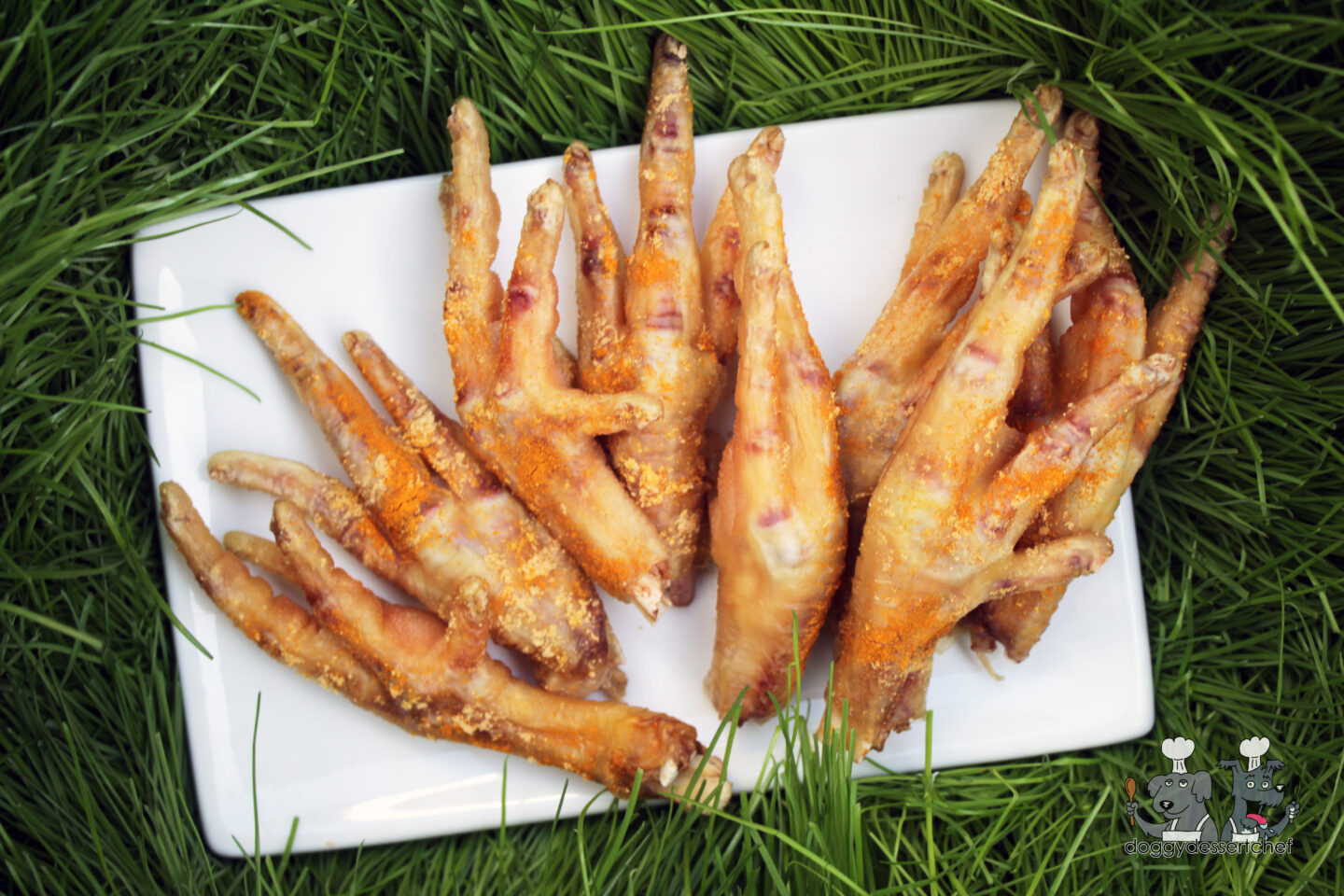 ginger turmeric chicken feet dog treat recipe