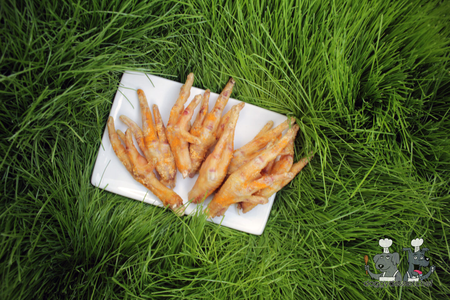 ginger turmeric chicken feet dog treat recipe