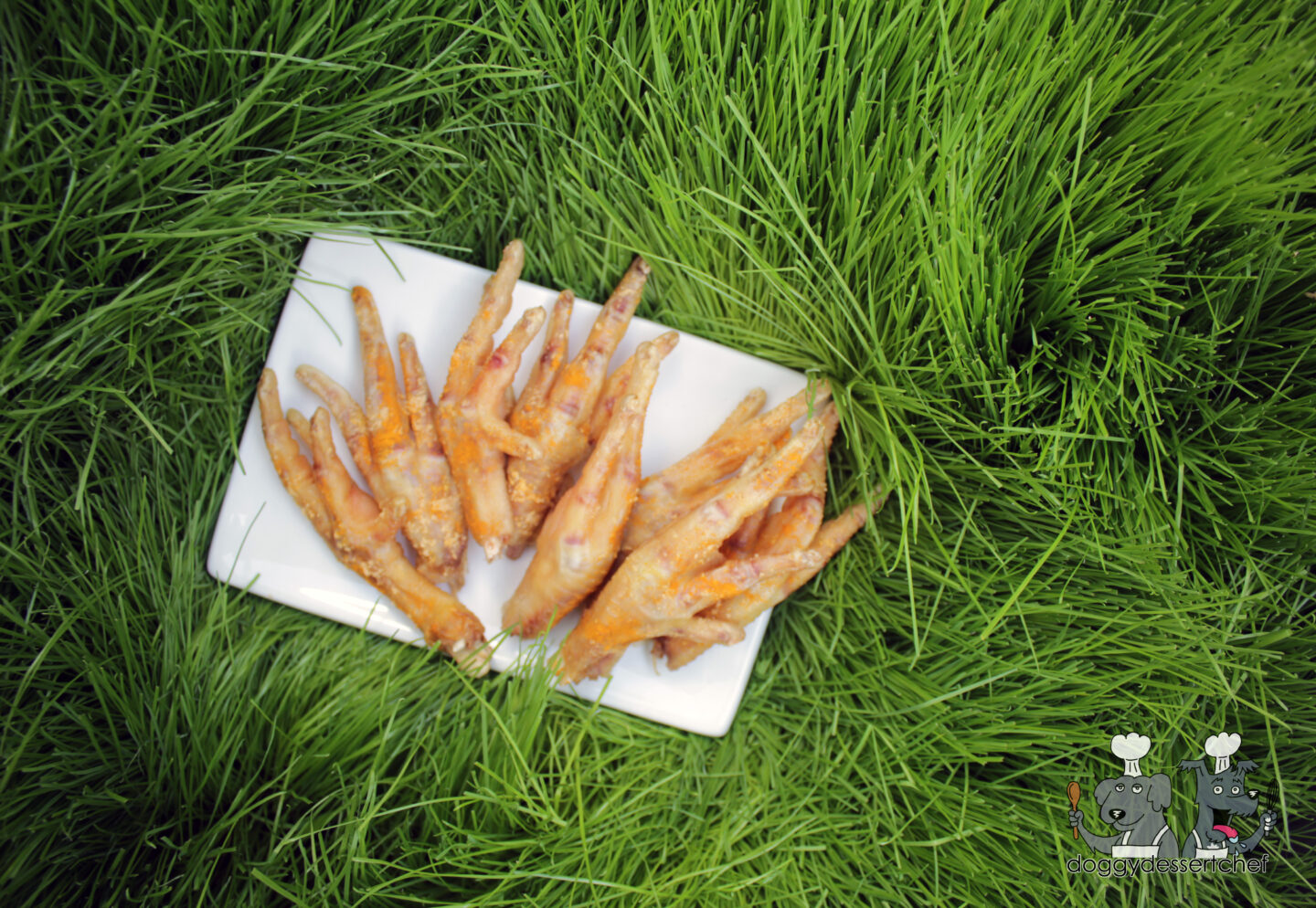 ginger turmeric chicken feet dog treat recipe