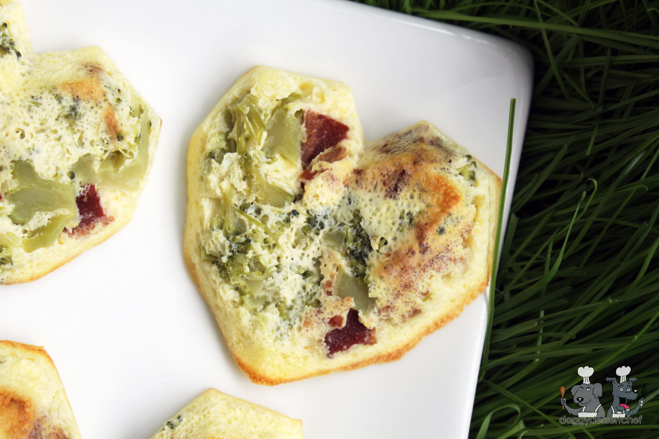 cottage cheese eggs puffs dog treat recipe