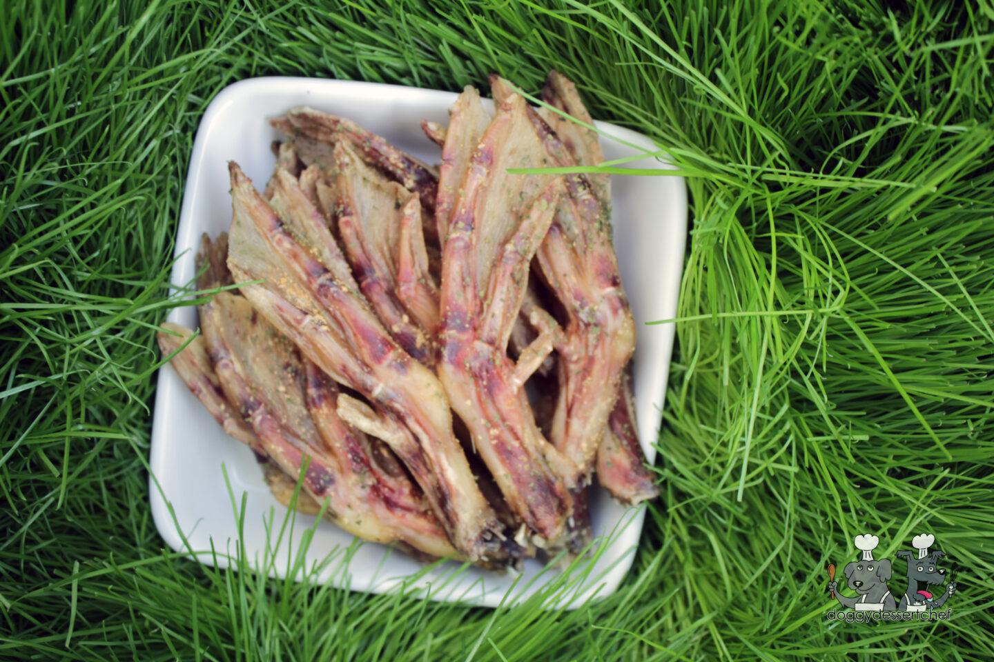 cilantro ginger duck feet dog treat recipe