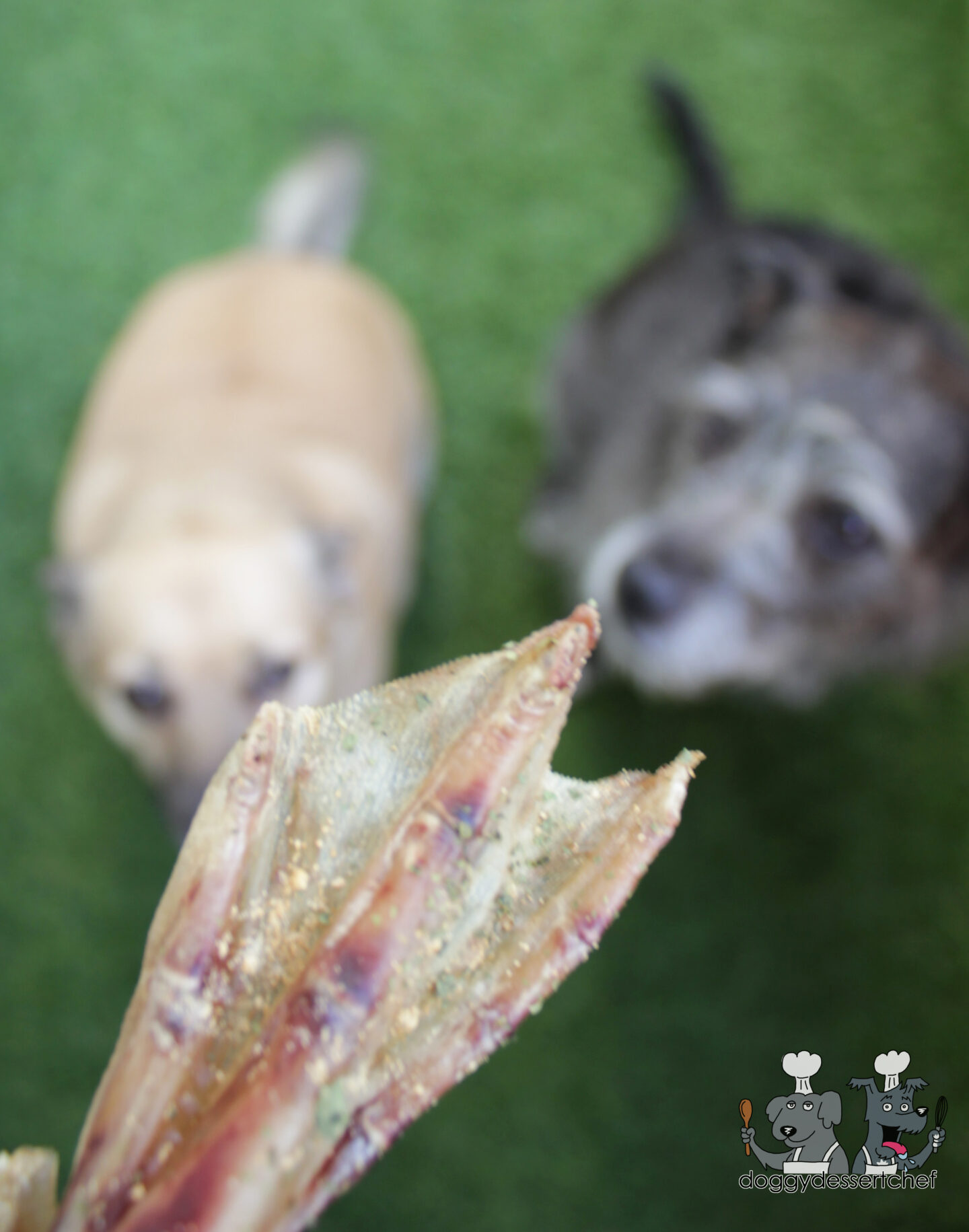 cilantro ginger duck feet dog treat recipe