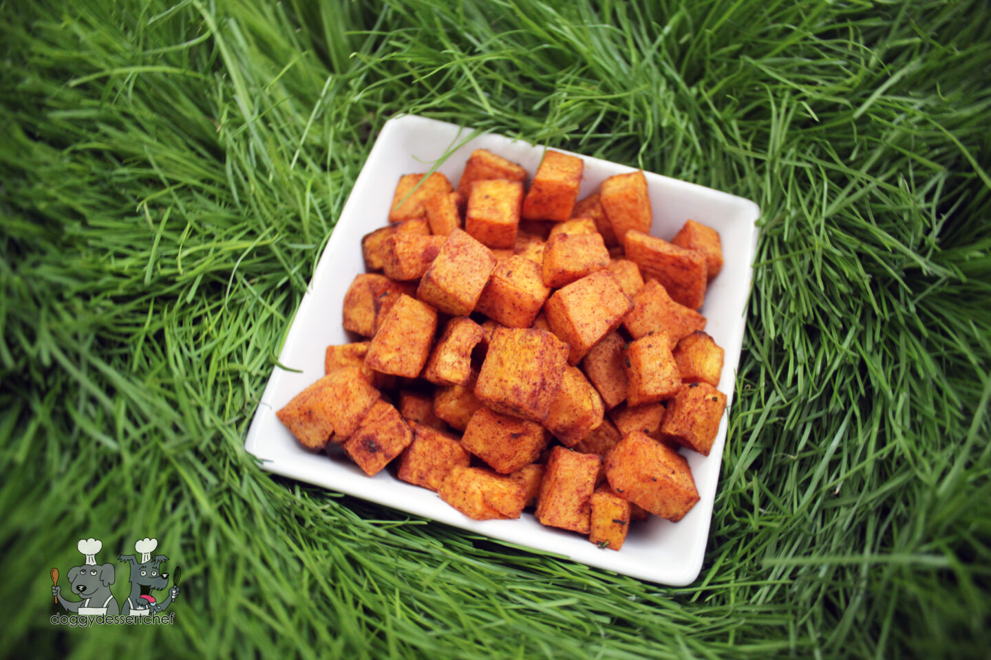 Air-Fryer Sweet Potato Bites dog treat recipe