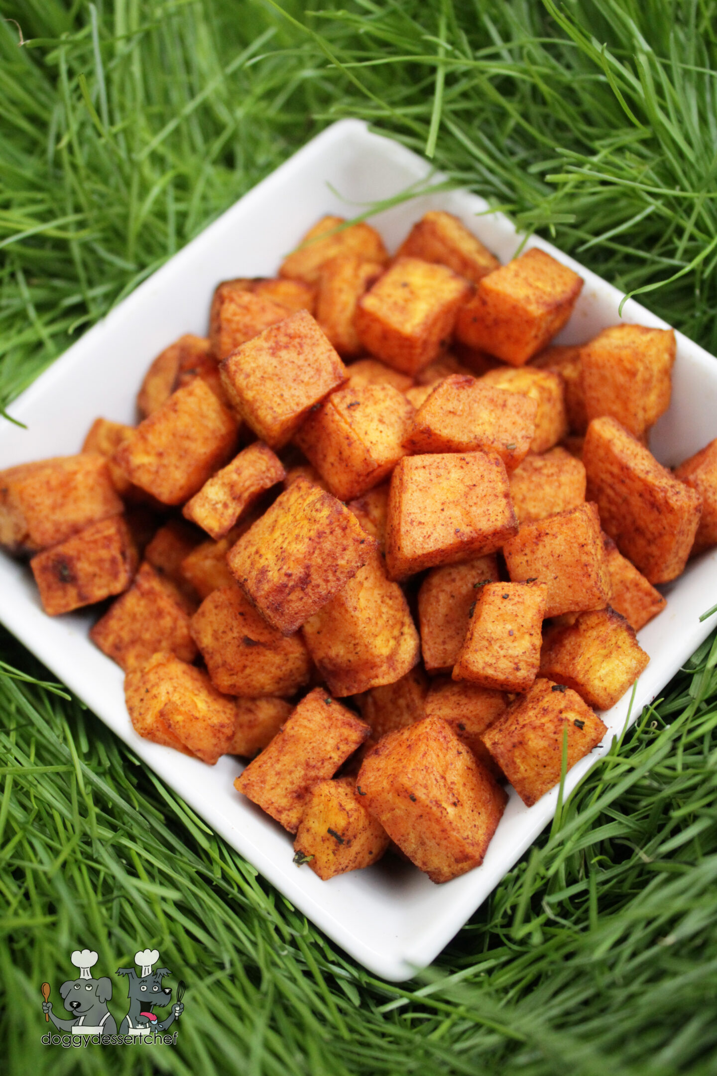 Air-Fryer Sweet Potato Bites dog treat recipe
