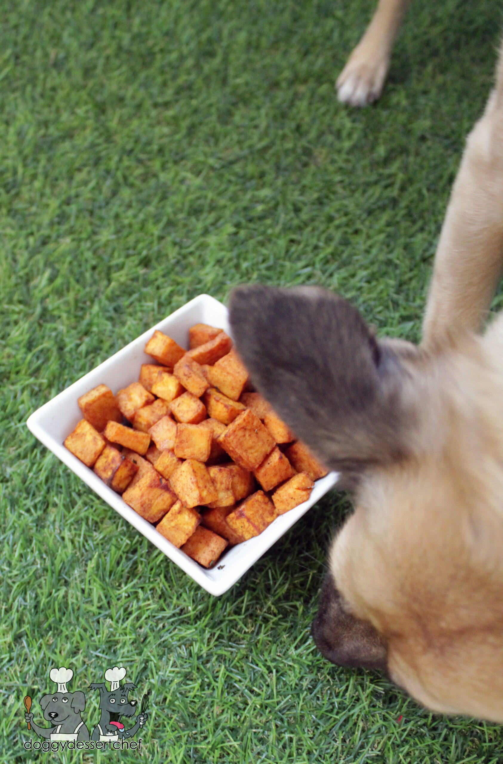 Air-Fryer Sweet Potato Bites dog treat recipe